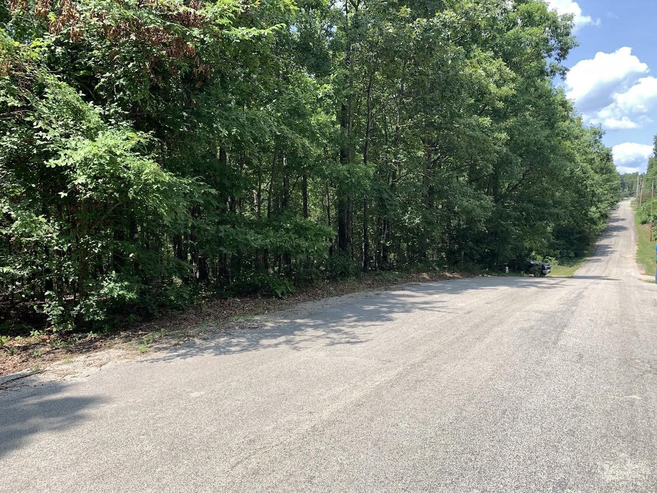   Summit Ridge Dr and Deer Run Rd  Ozark Acres, AR