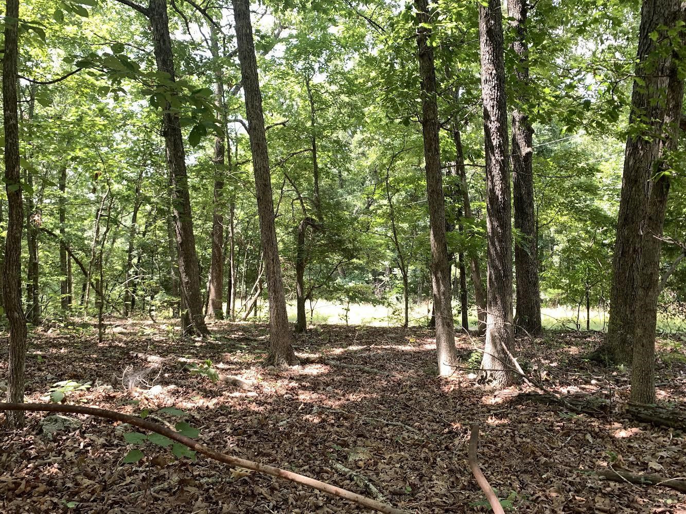   Summit Ridge Dr and Deer Run Rd  Ozark Acres, AR