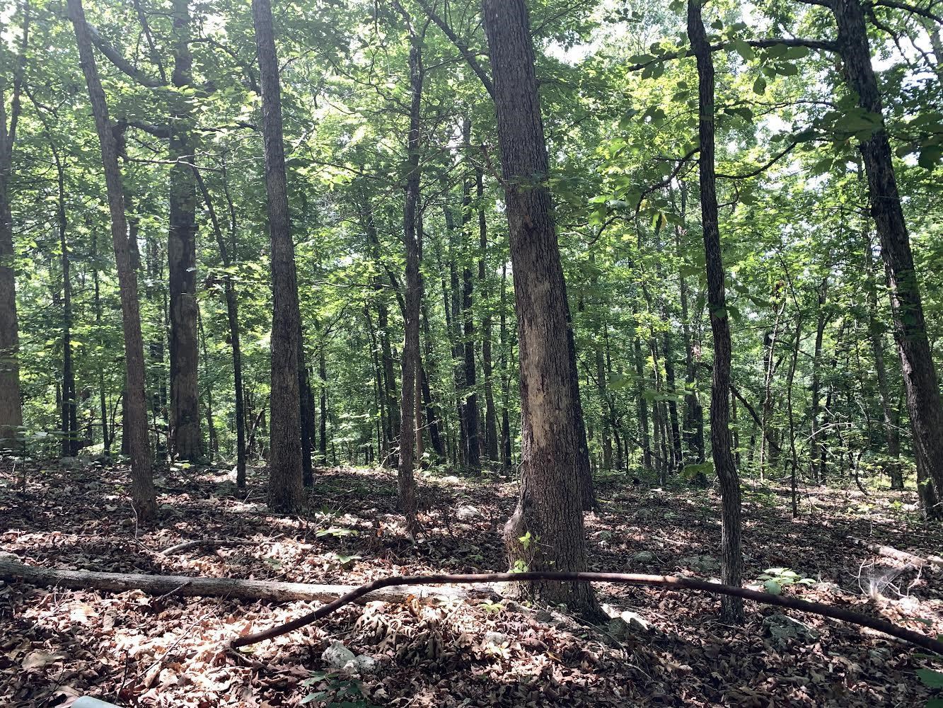   Summit Ridge Dr and Deer Run Rd  Ozark Acres, AR