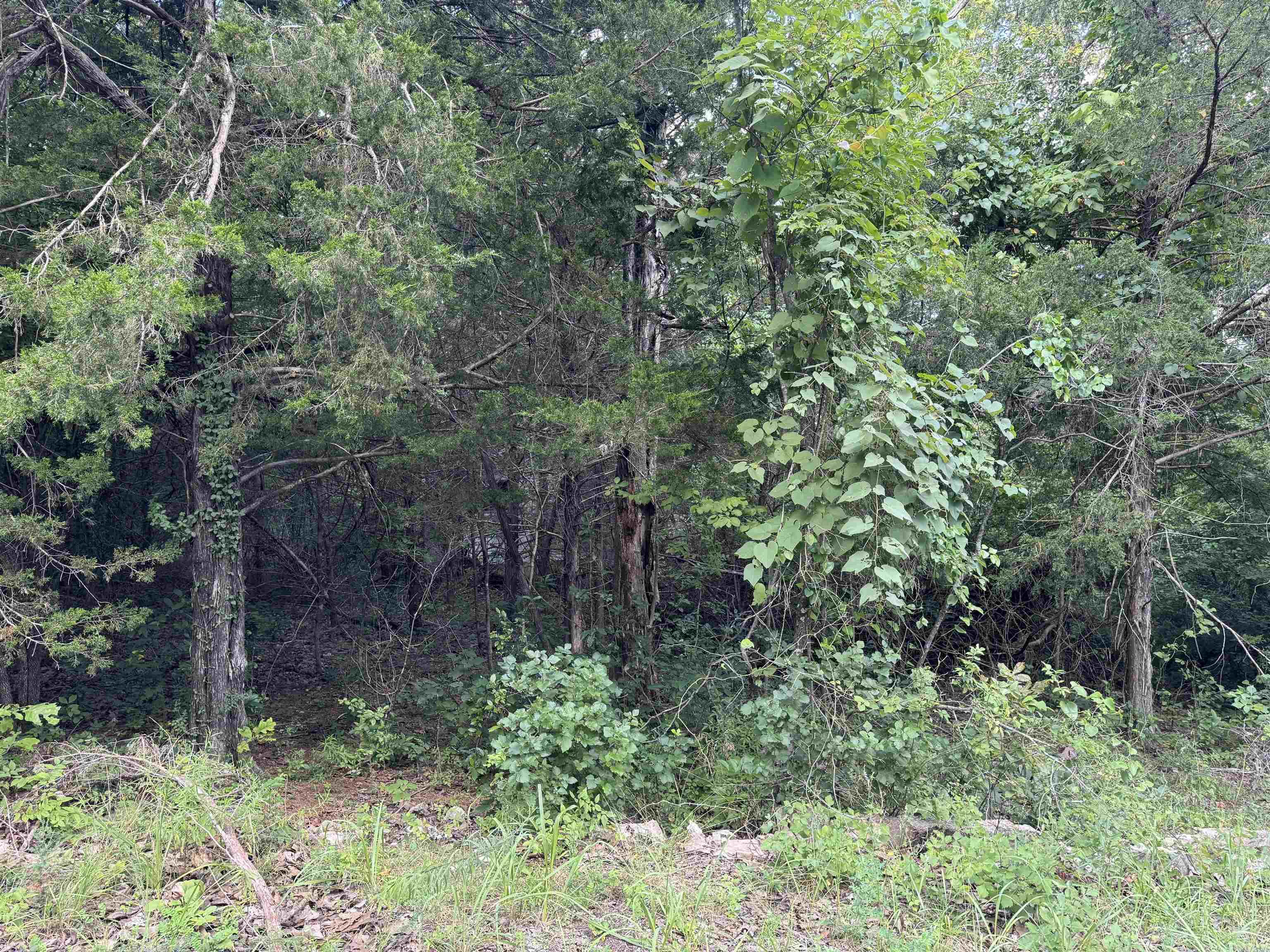 1302  Blackbird Ln  Horseshoe Bend, AR