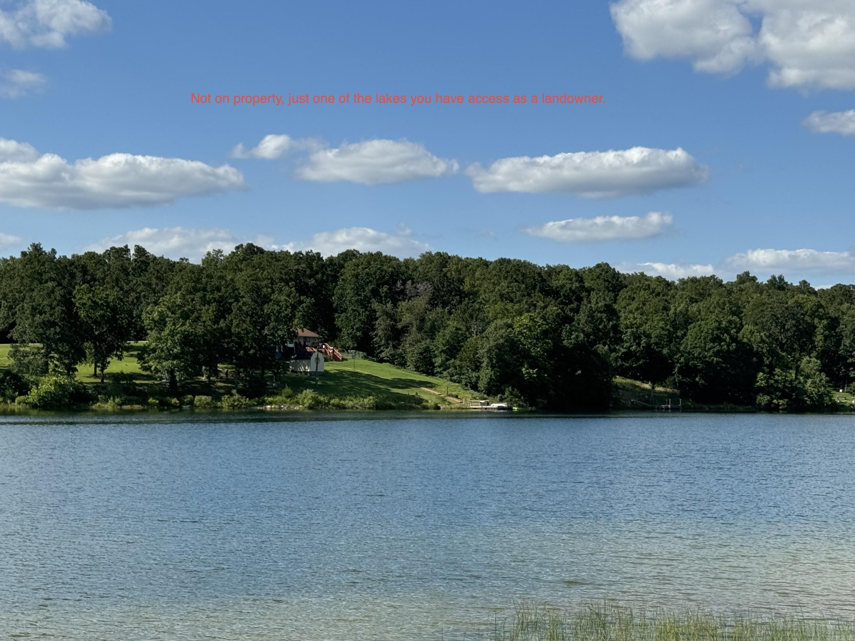 1302  Blackbird Ln  Horseshoe Bend, AR