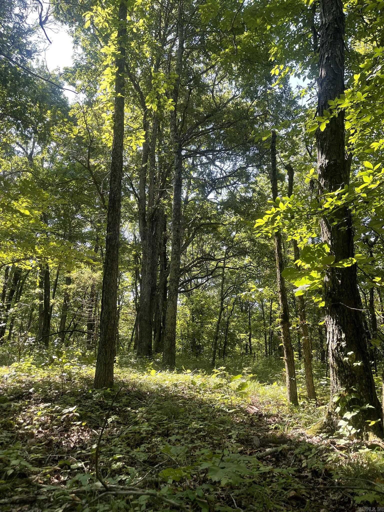 396 August Farm  Drive  Leslie, AR