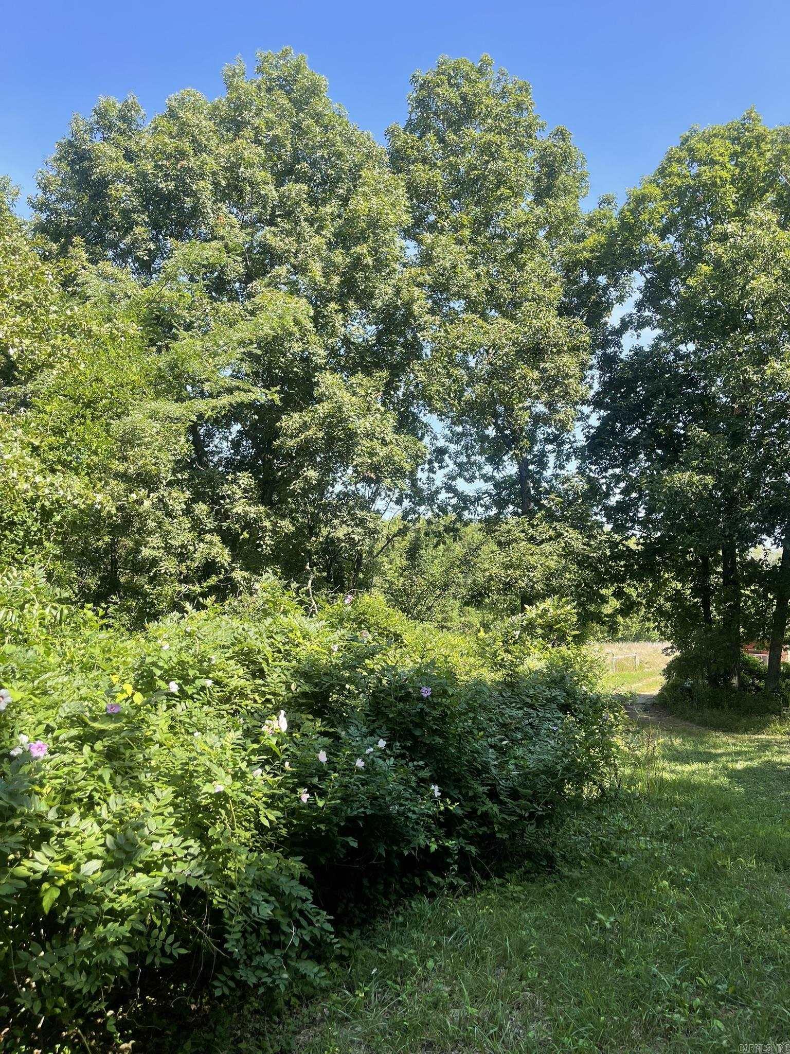 396 August Farm  Drive  Leslie, AR