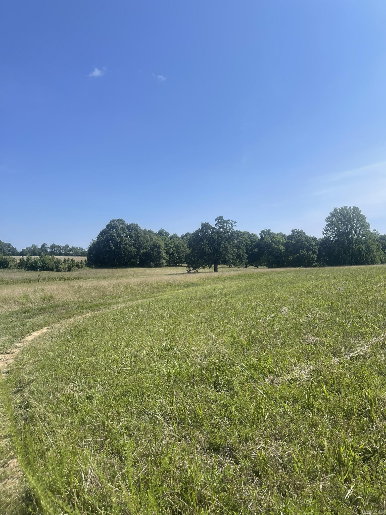396 August Farm  Drive  Leslie, AR