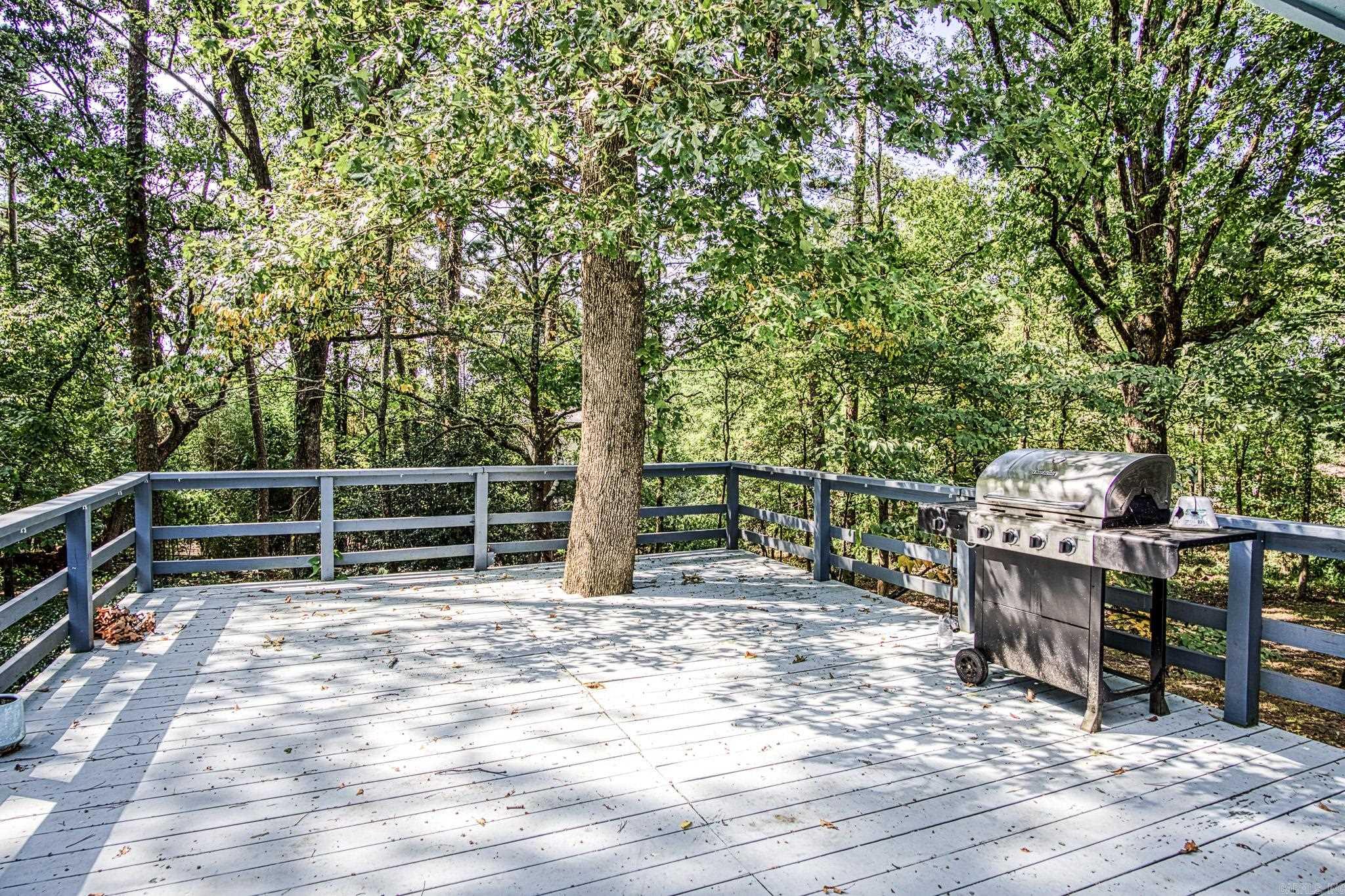 7 Mota Lane Hot Springs Village, AR 71909