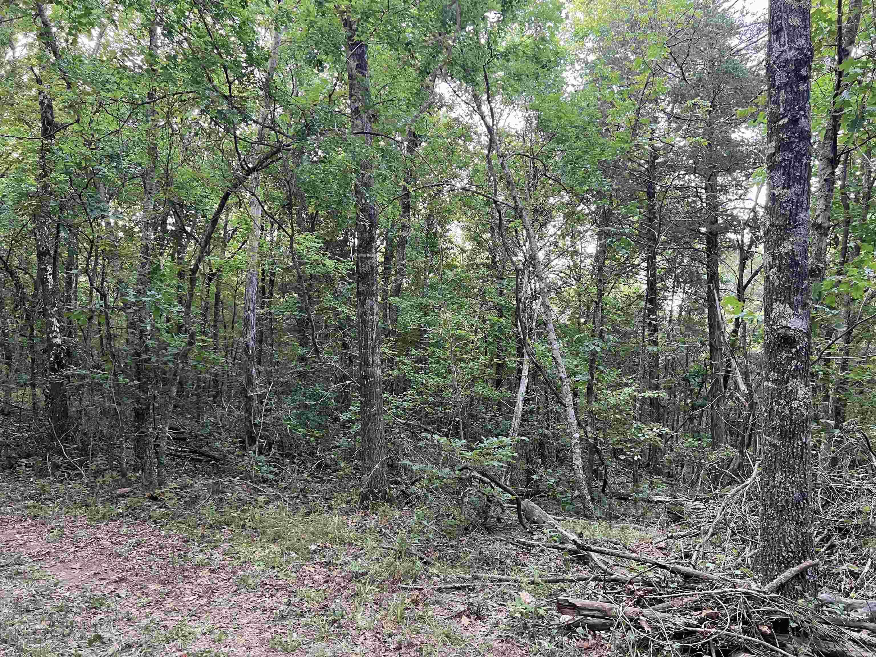   Cedar Creek  Harrison, AR