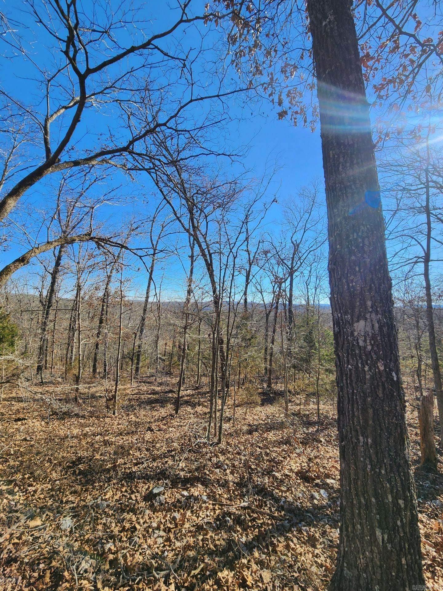 Hwy 333  Lime Drive  Saint Joe, AR