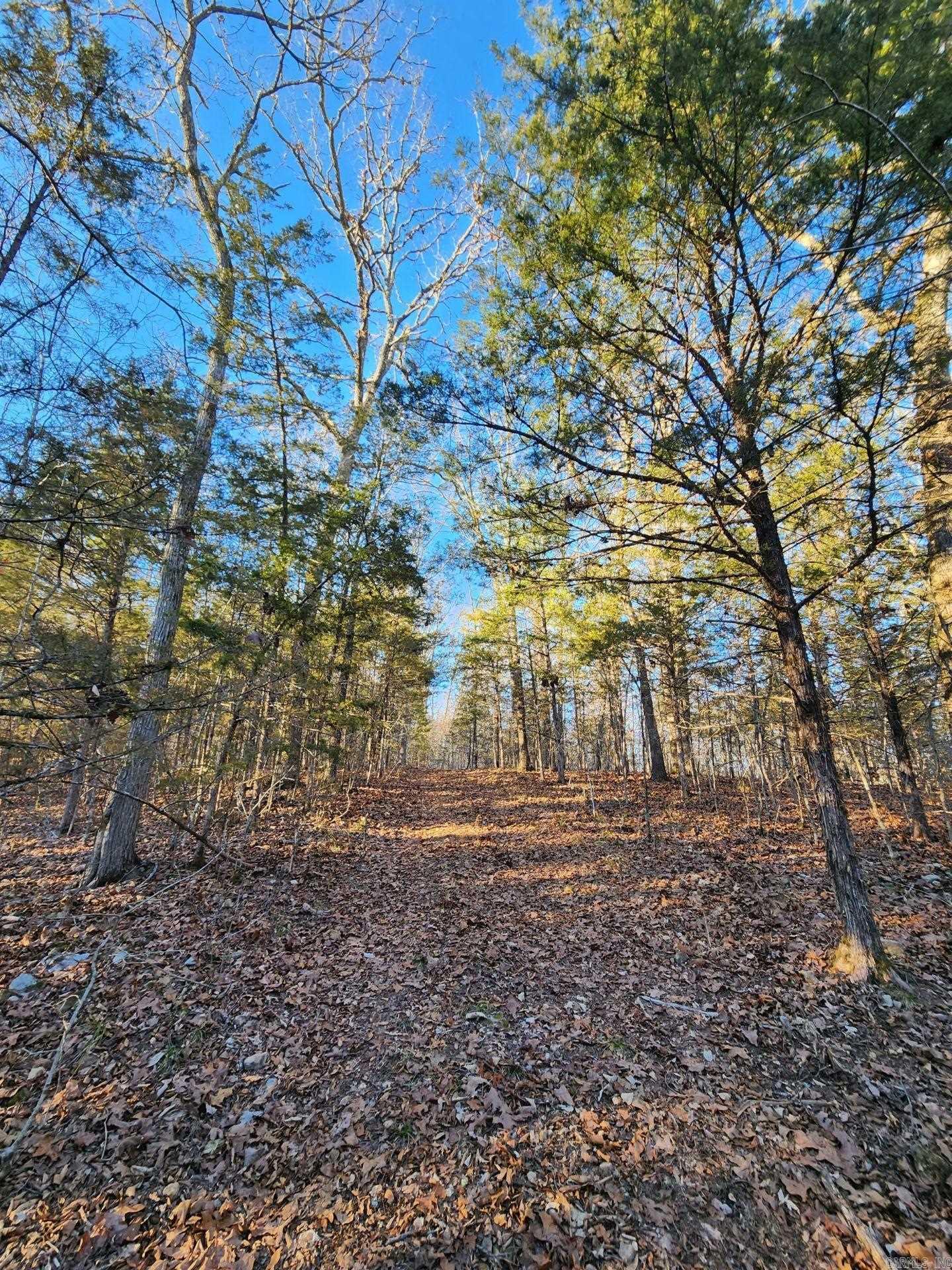 Hwy 333  Lime Drive  Saint Joe, AR