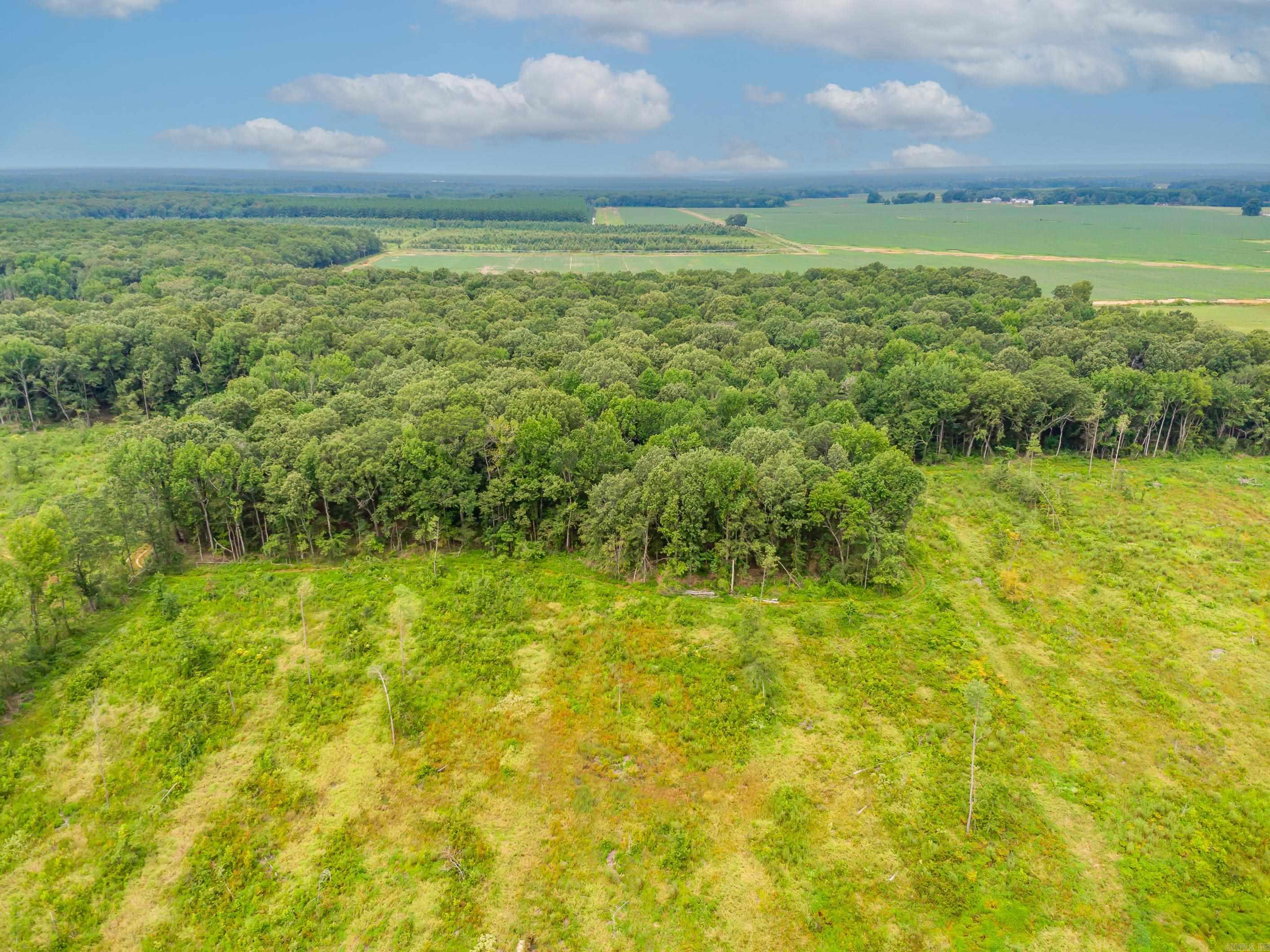 188  Robert Corder  Griffithville, AR