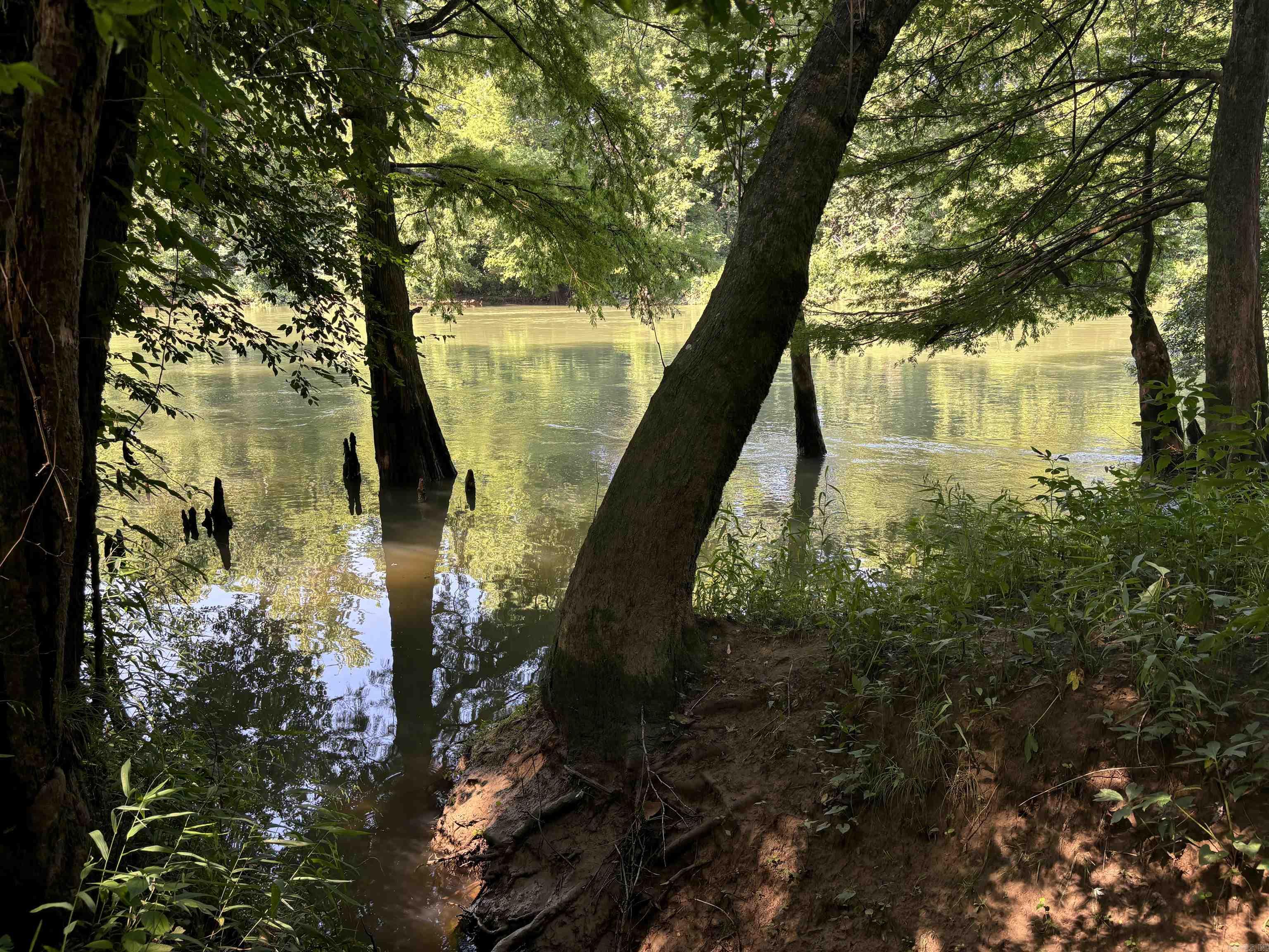000  Cypress Shoals  Pangburn, AR