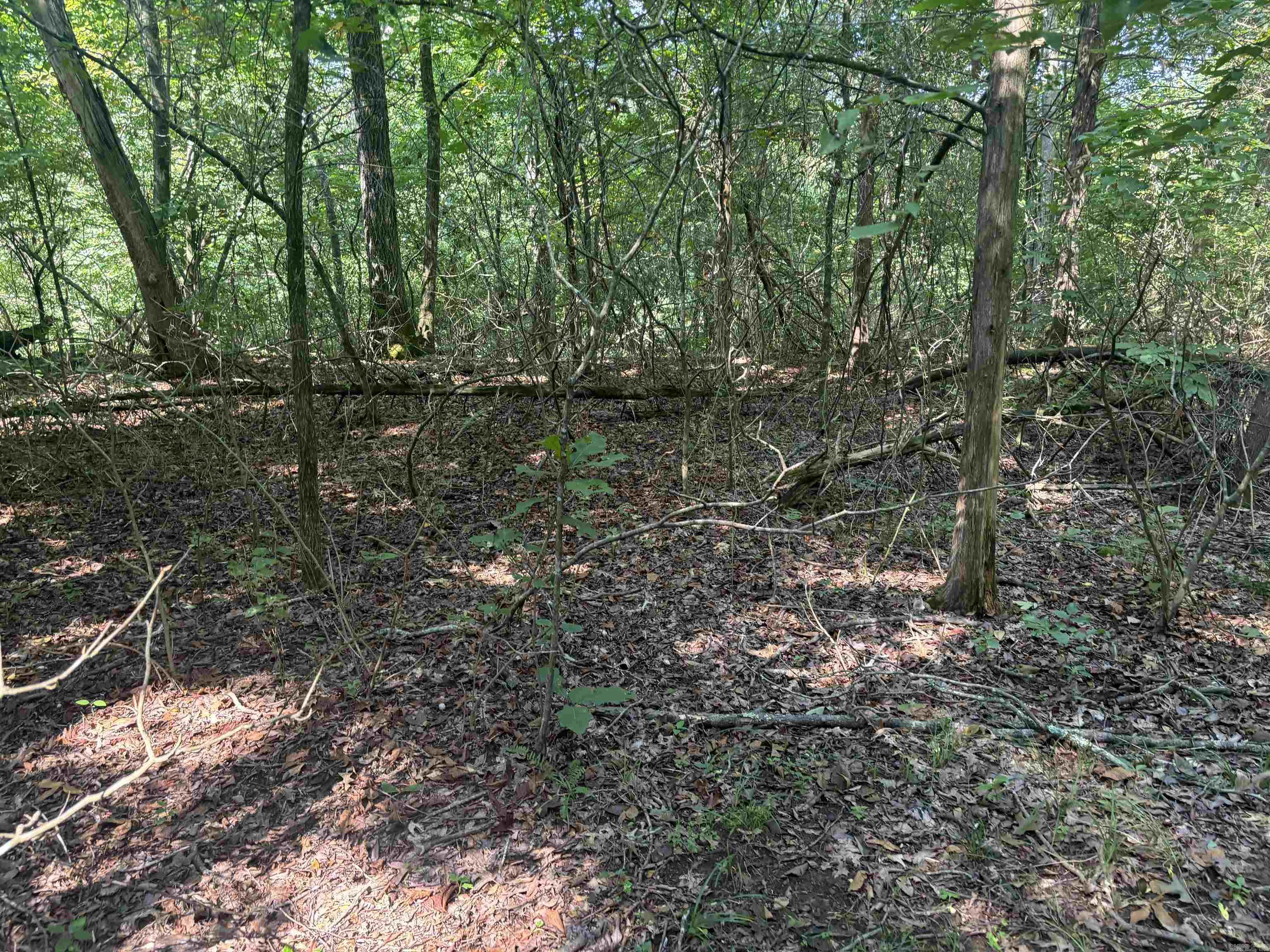 000  Cypress Shoals  Pangburn, AR