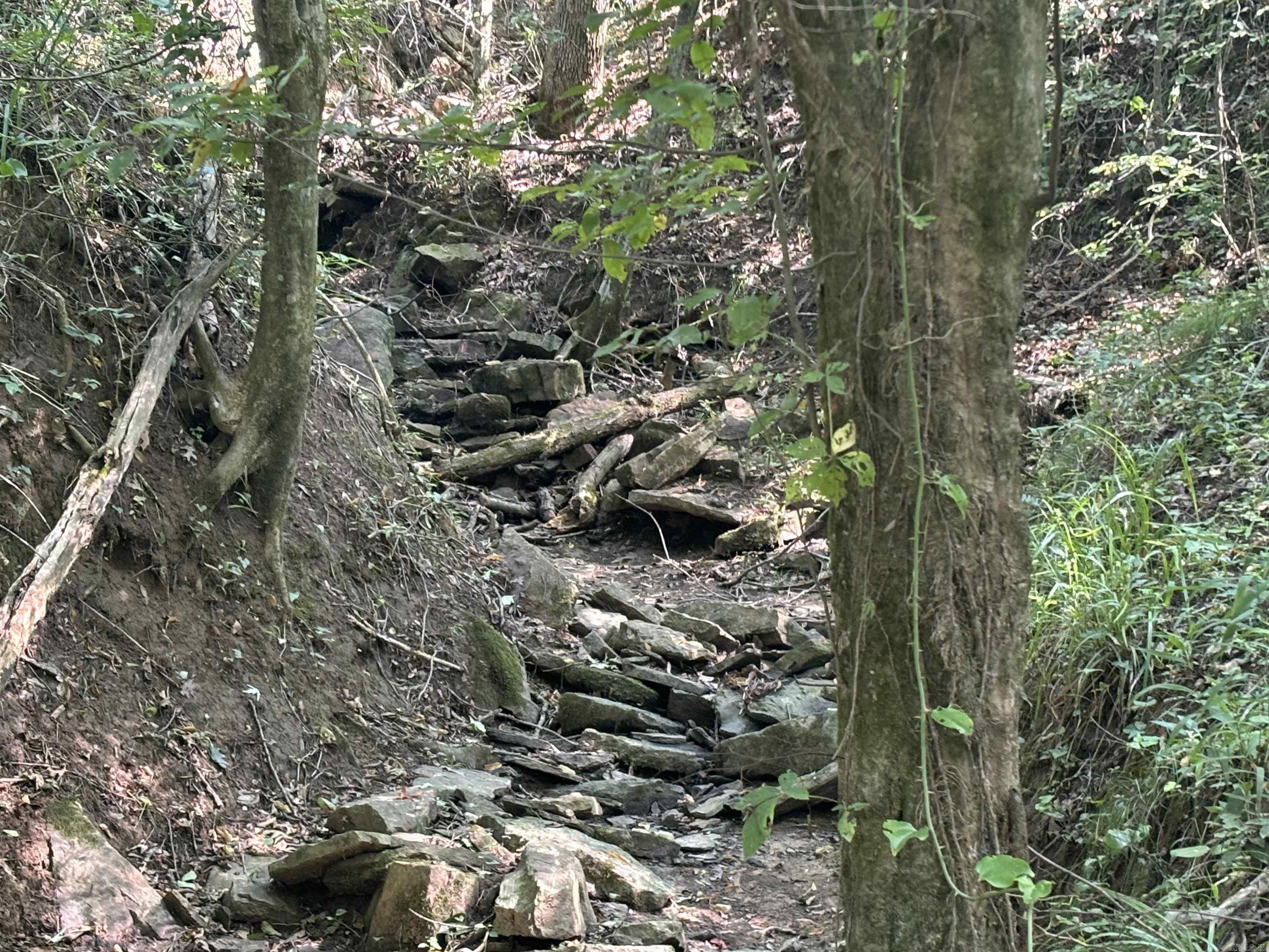 000  Cypress Shoals  Pangburn, AR