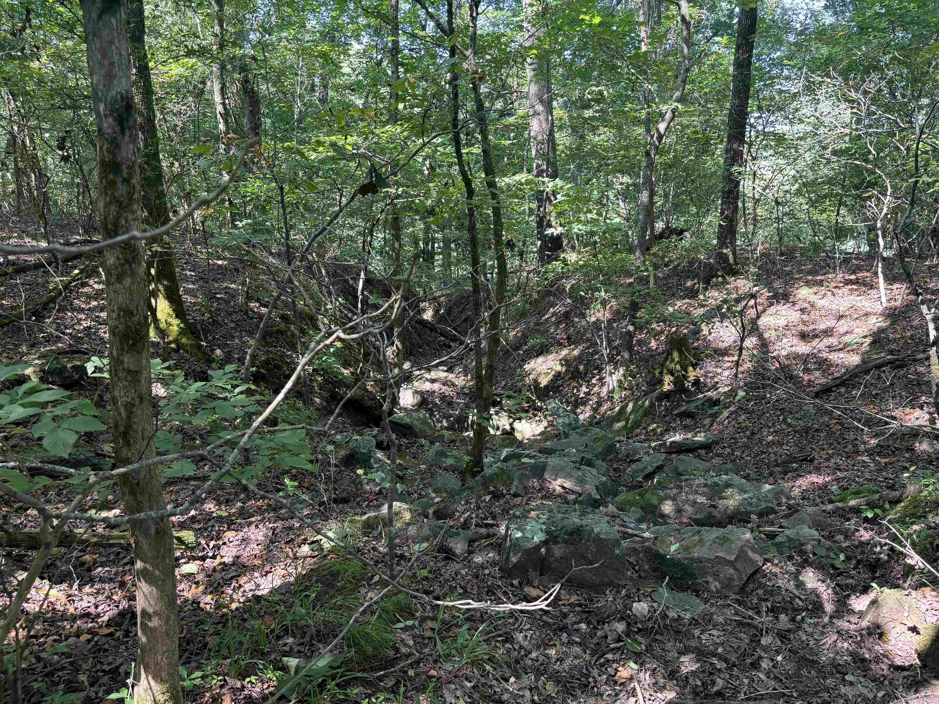 000  Cypress Shoals  Pangburn, AR