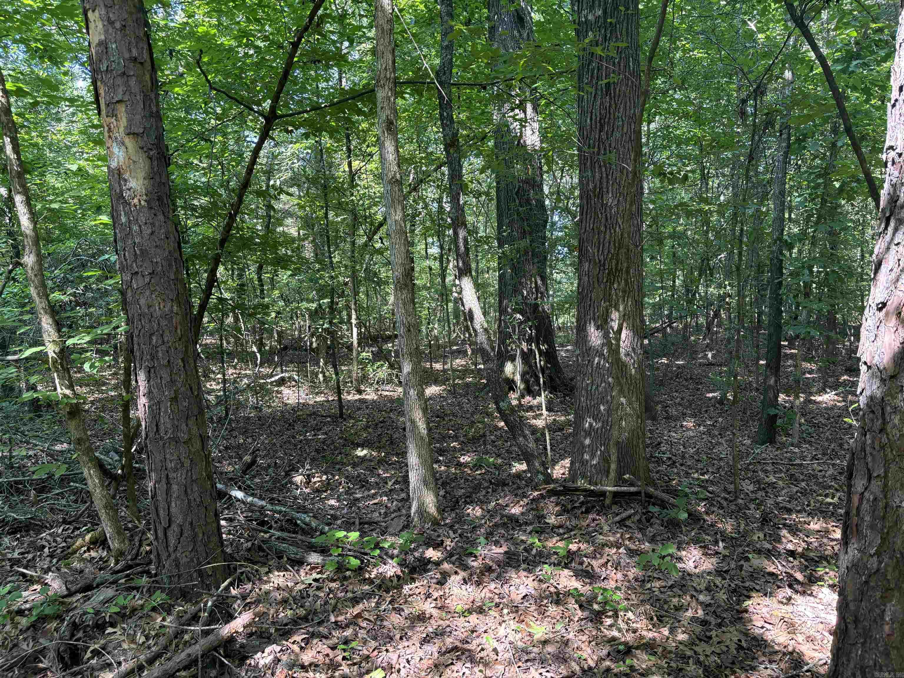 000  Cypress Shoals  Pangburn, AR