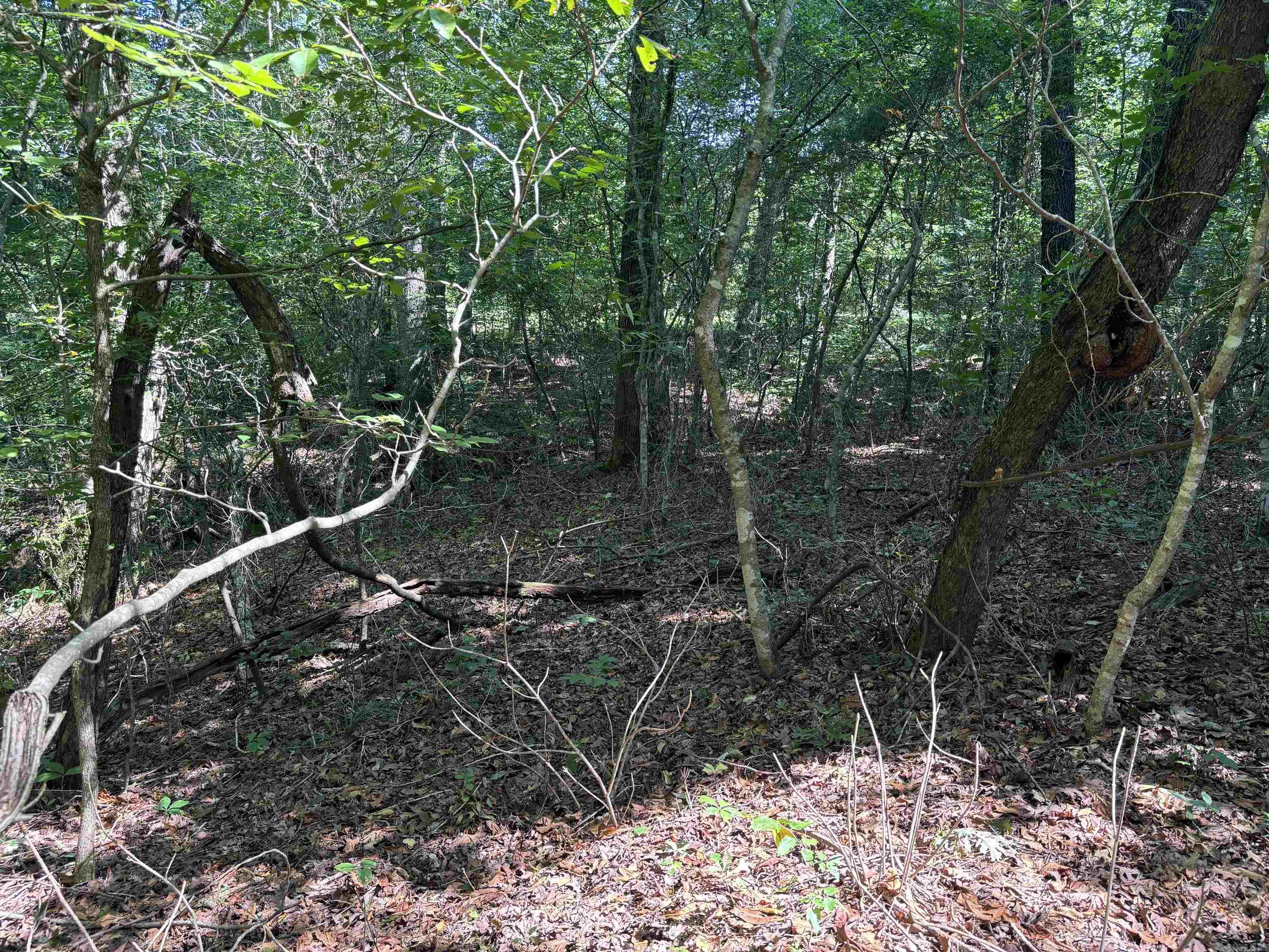 000  Cypress Shoals  Pangburn, AR