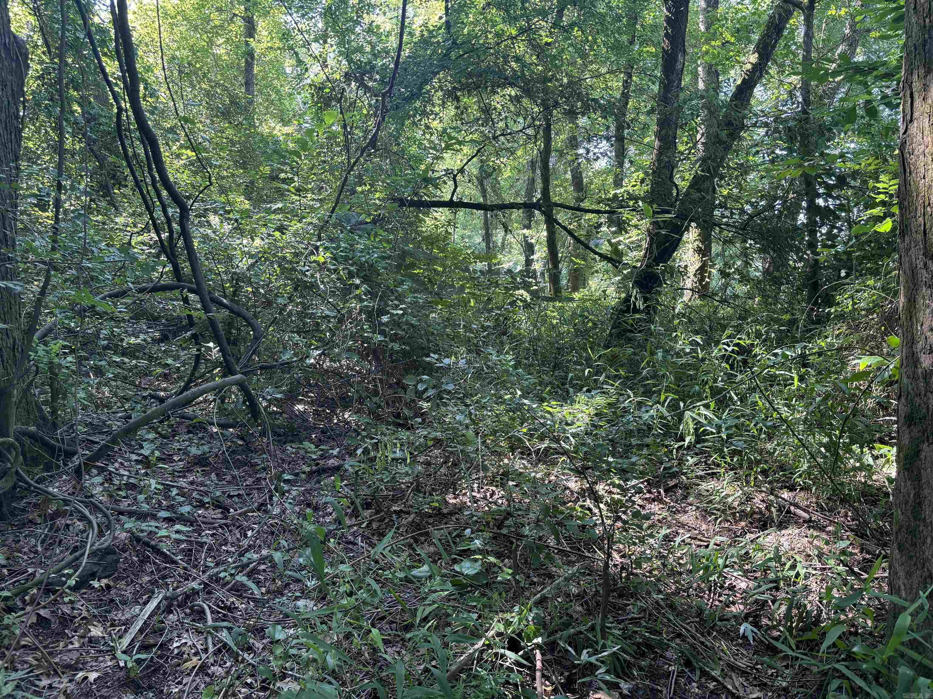 000  Cypress Shoals  Pangburn, AR