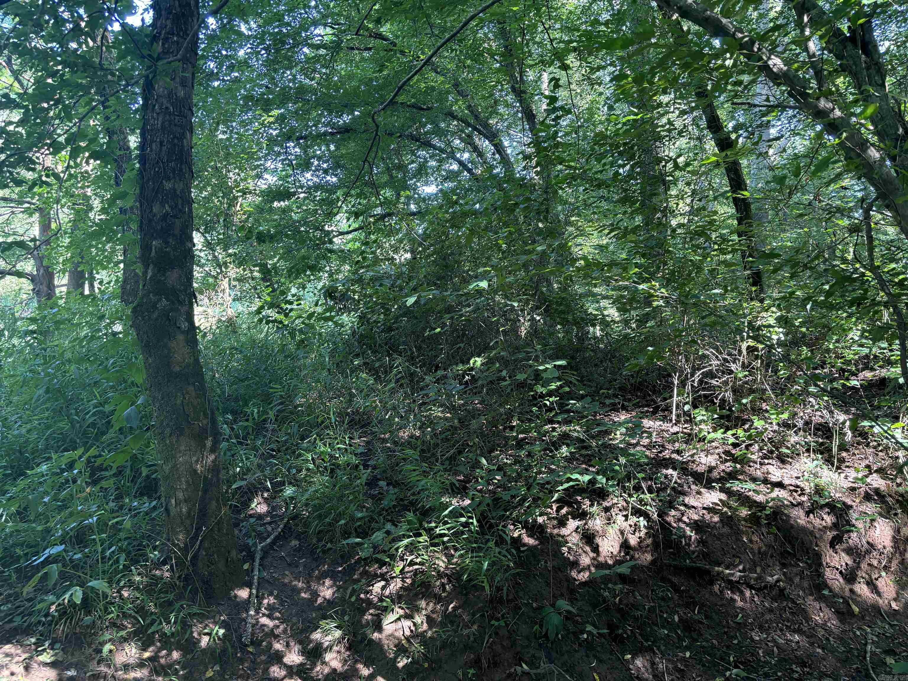 000  Cypress Shoals  Pangburn, AR