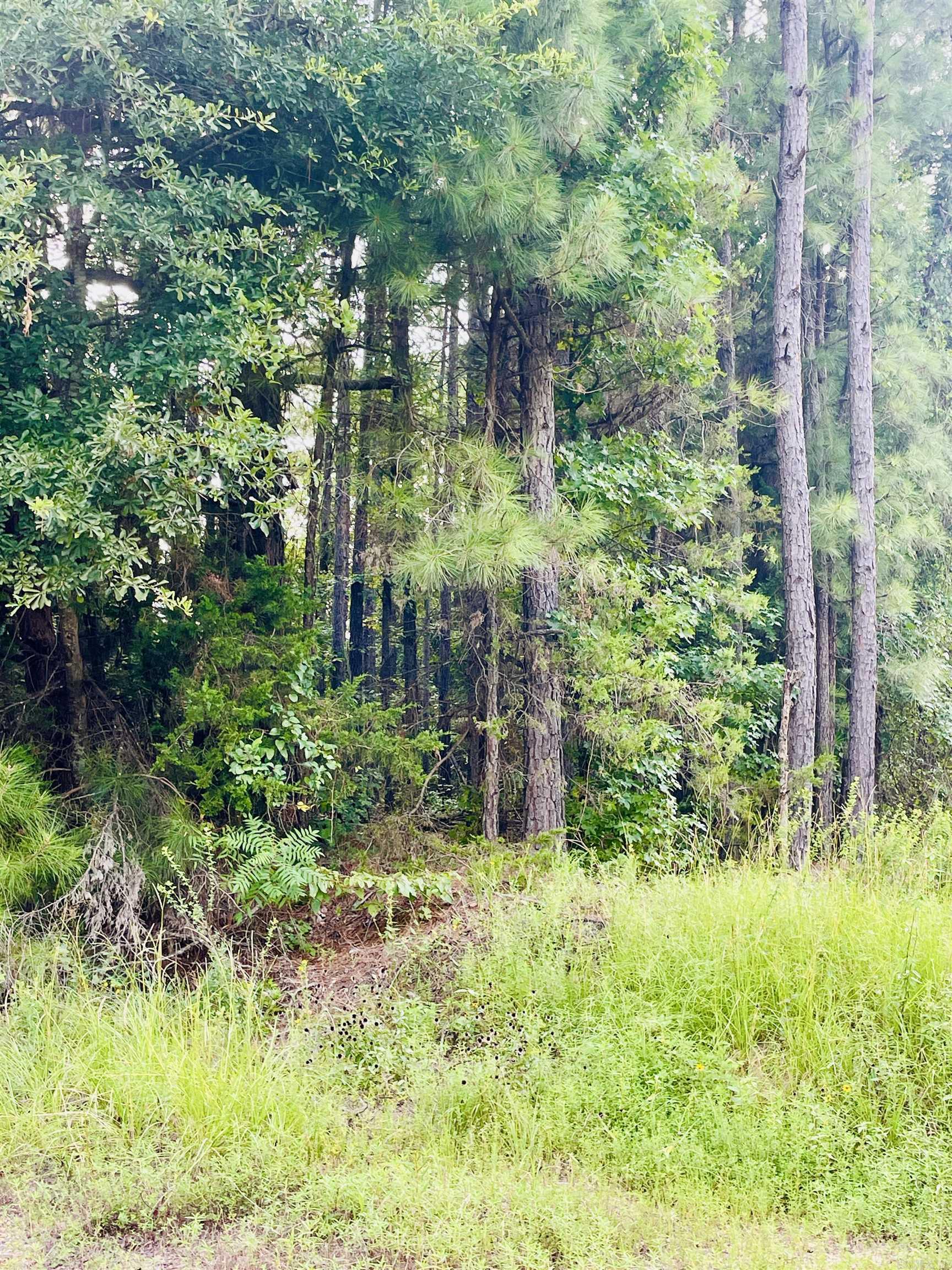   Miller County 32  Doddridge, AR