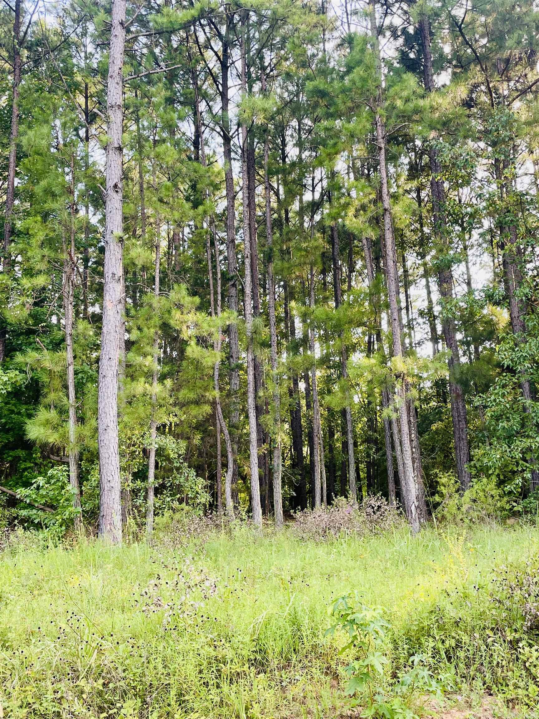   Miller County 32  Doddridge, AR