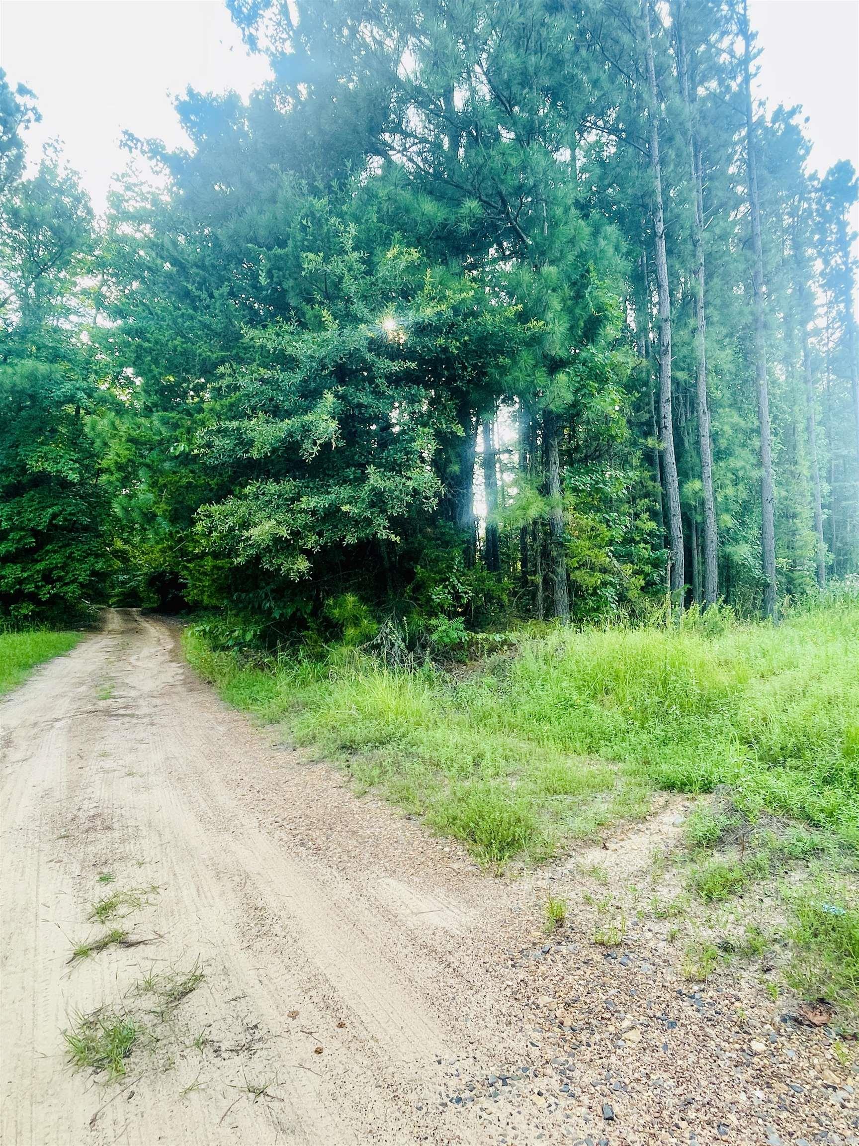   Miller County 32  Doddridge, AR