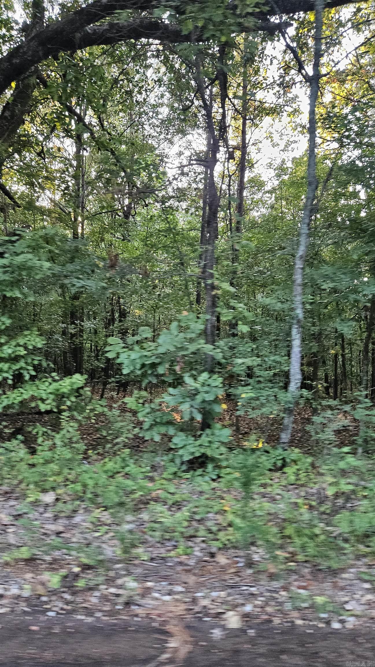 75  CR 423  Rector, AR
