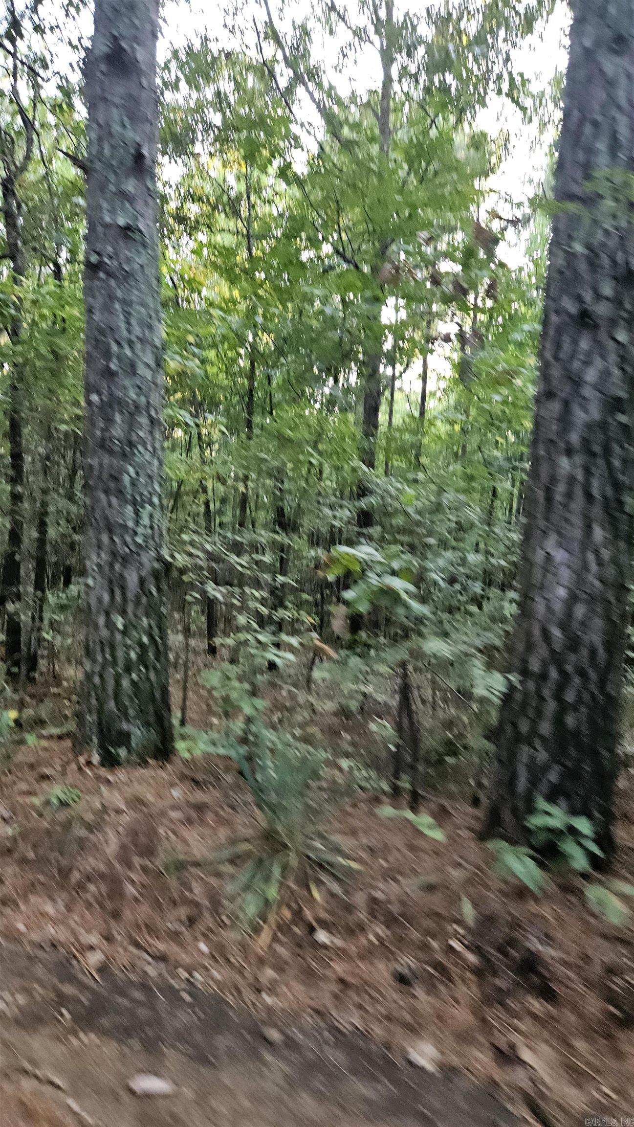 75  CR 423  Rector, AR