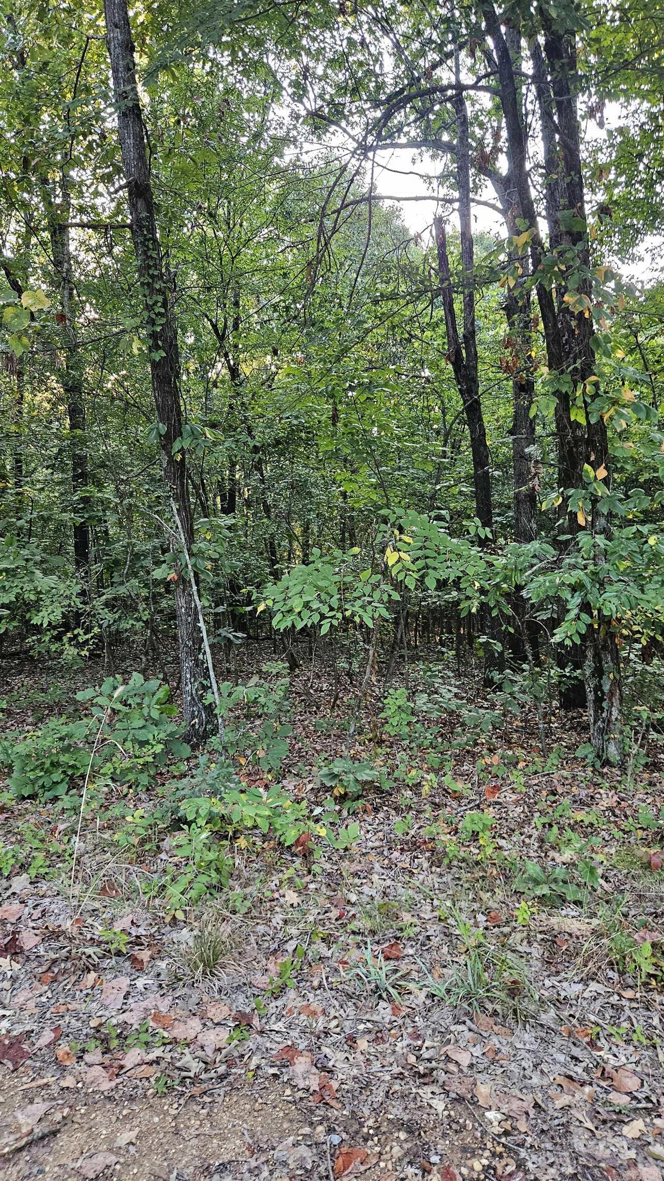 75  CR 423  Rector, AR