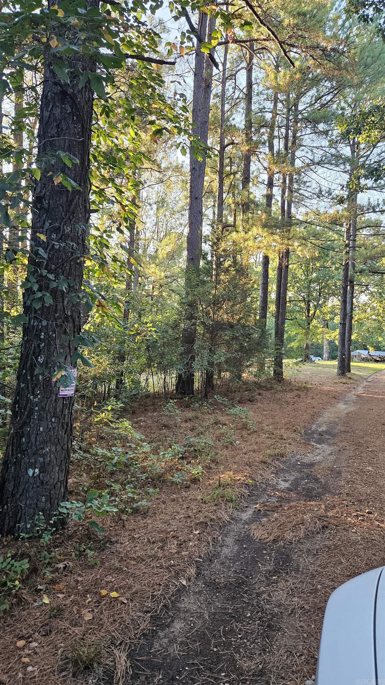 75  CR 423  Rector, AR
