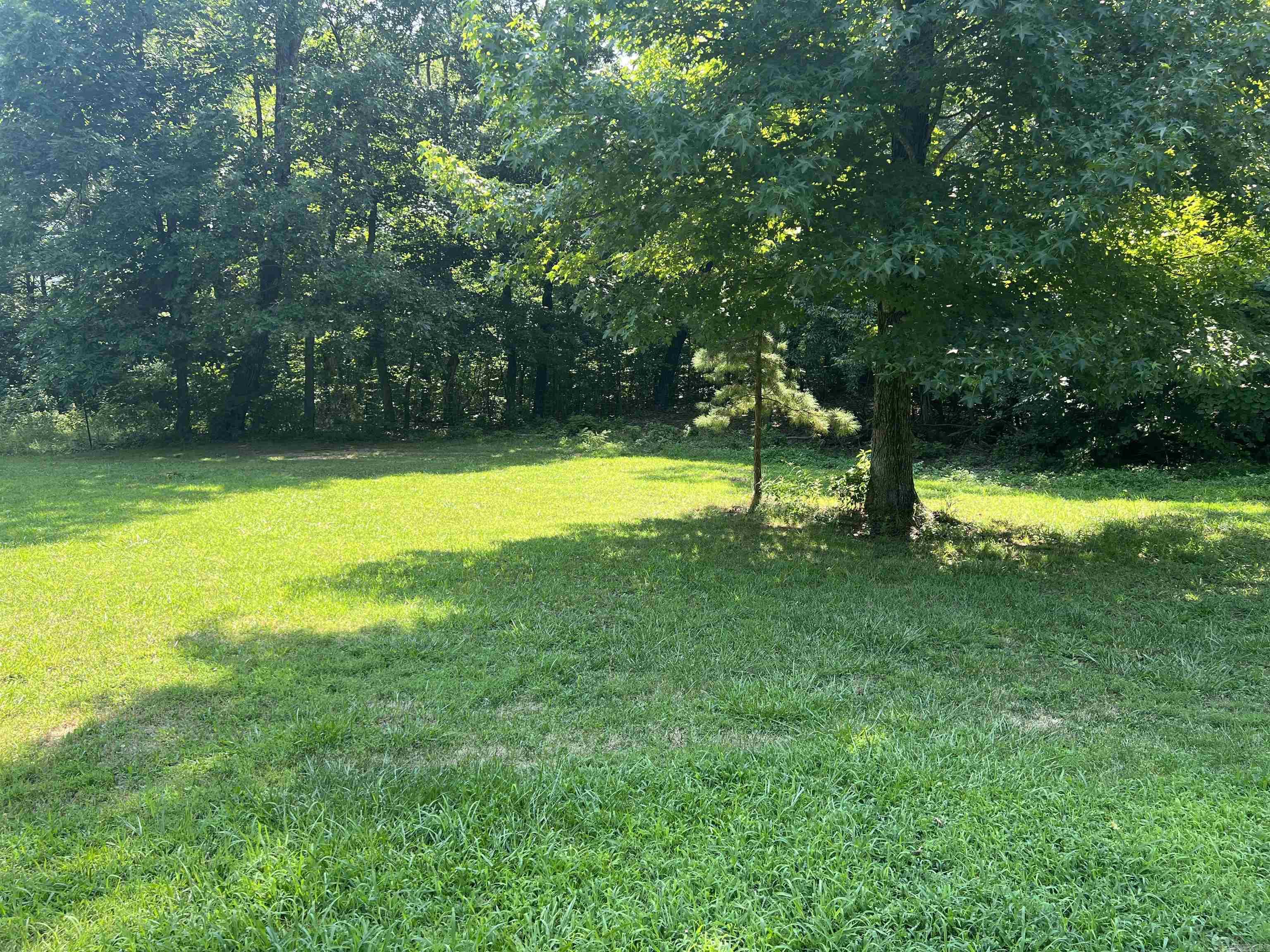 6135  NC 8675  Jasper, AR