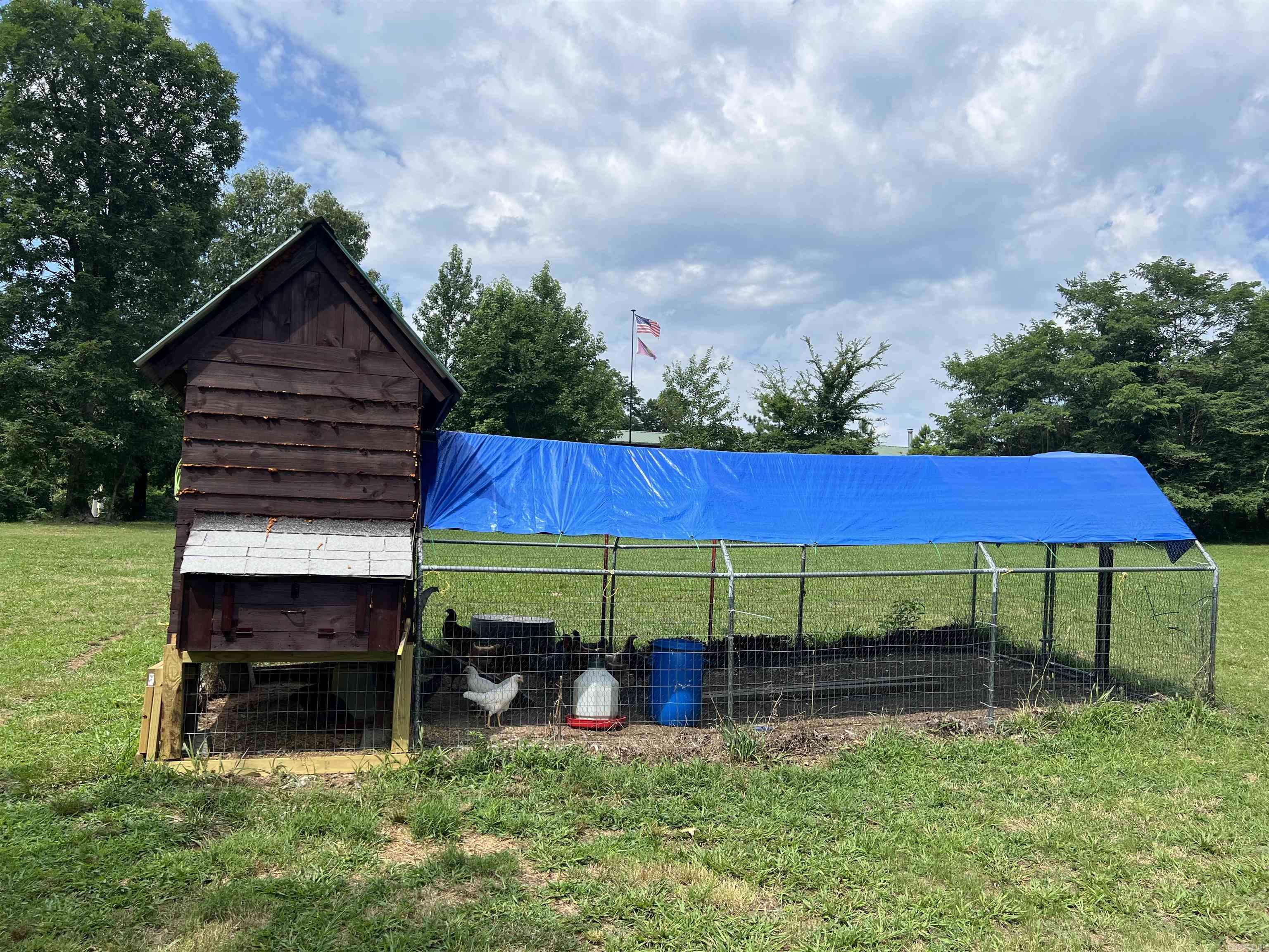 6135  NC 8675  Jasper, AR