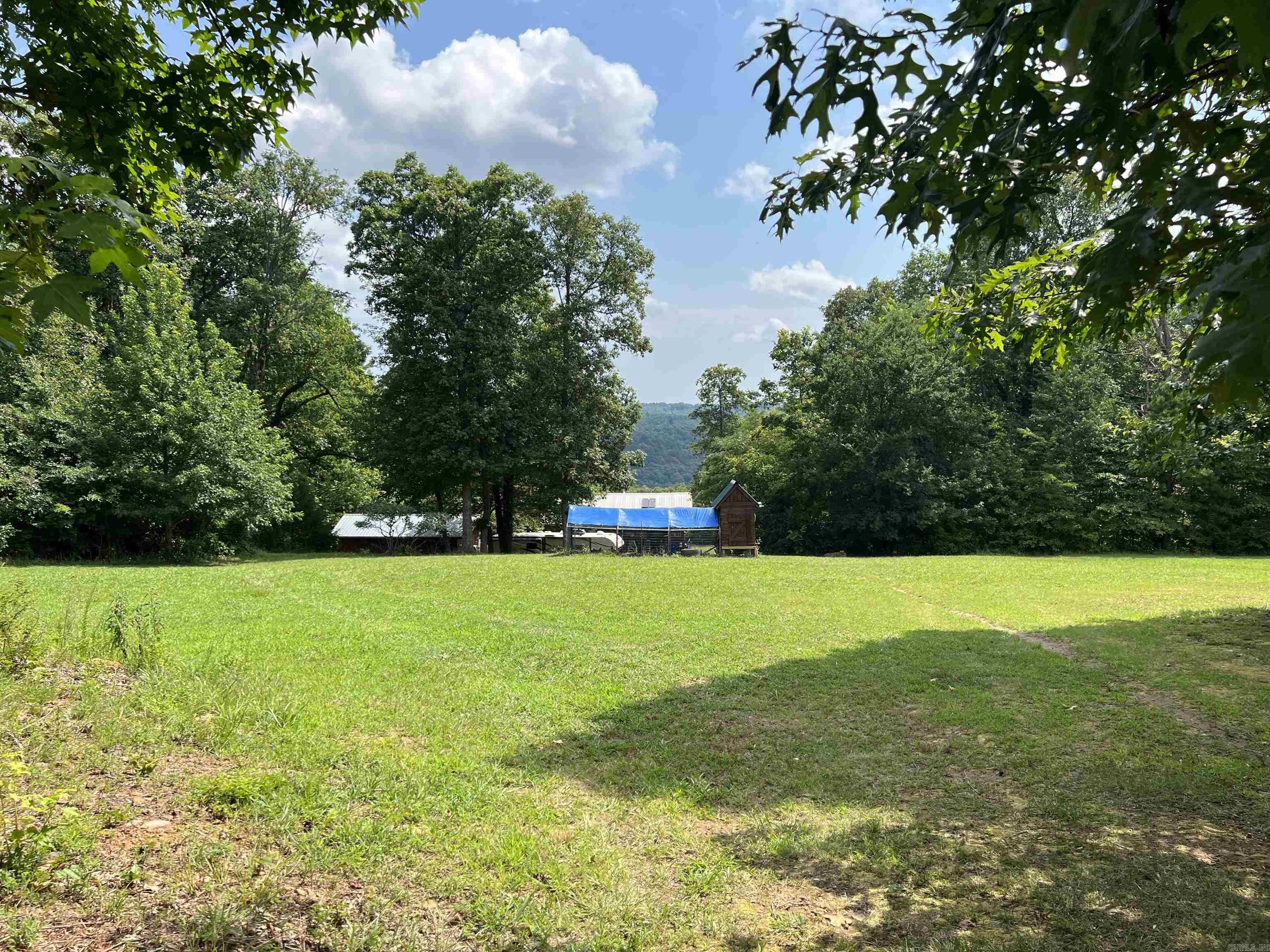 6135  NC 8675  Jasper, AR