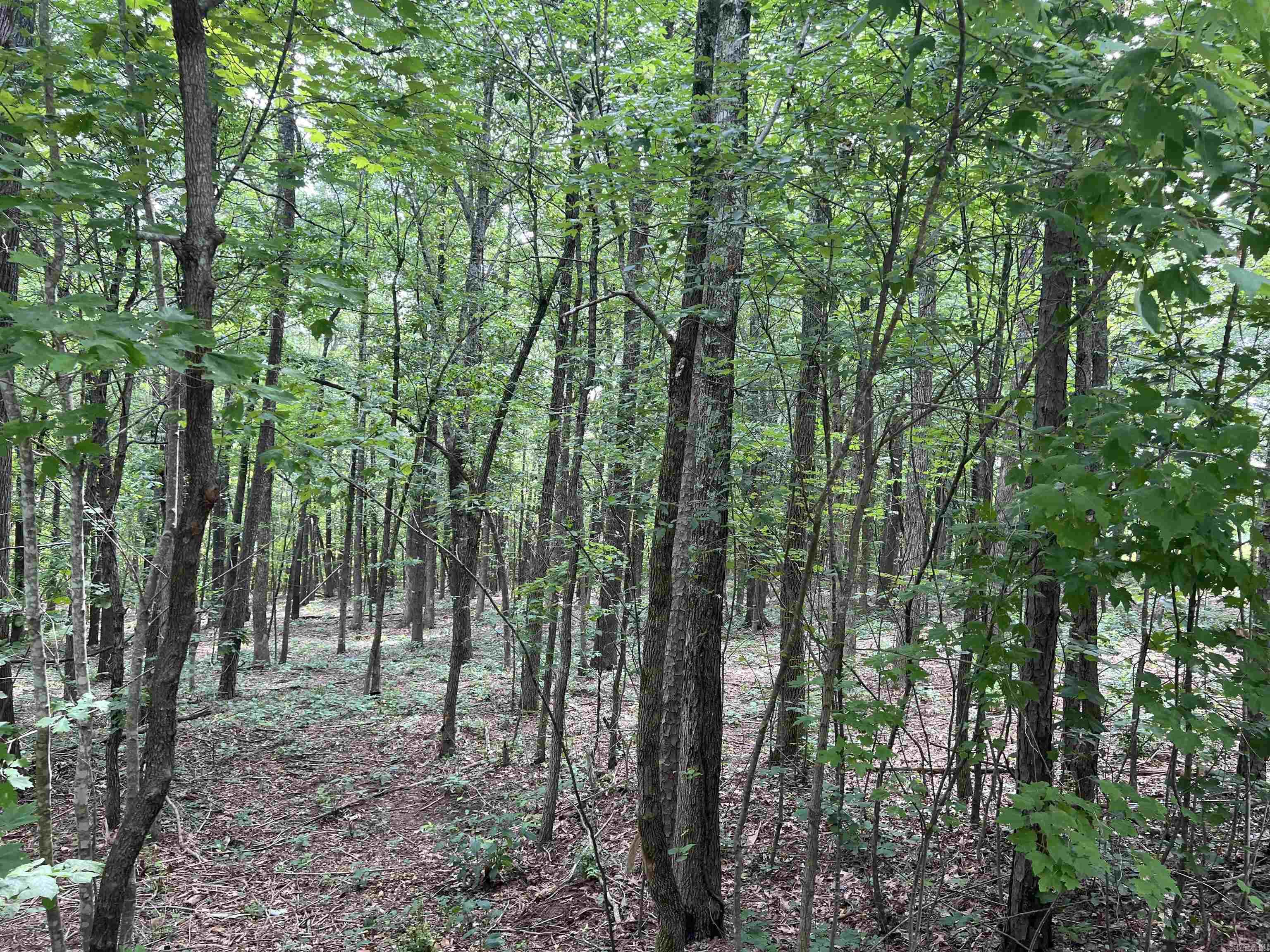 6135  NC 8675  Jasper, AR