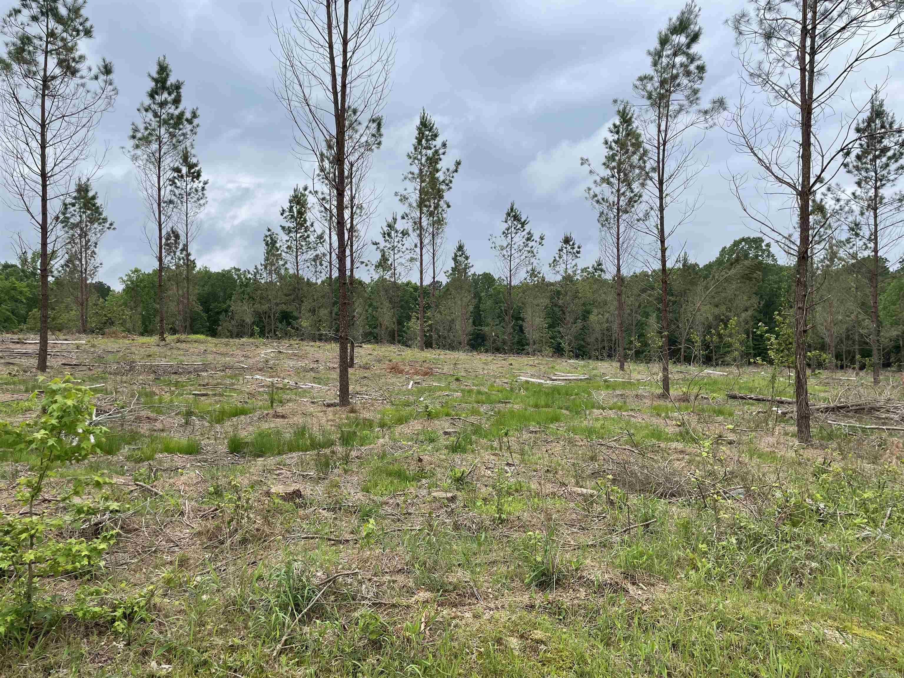 0  Grant 433  Sheridan, AR