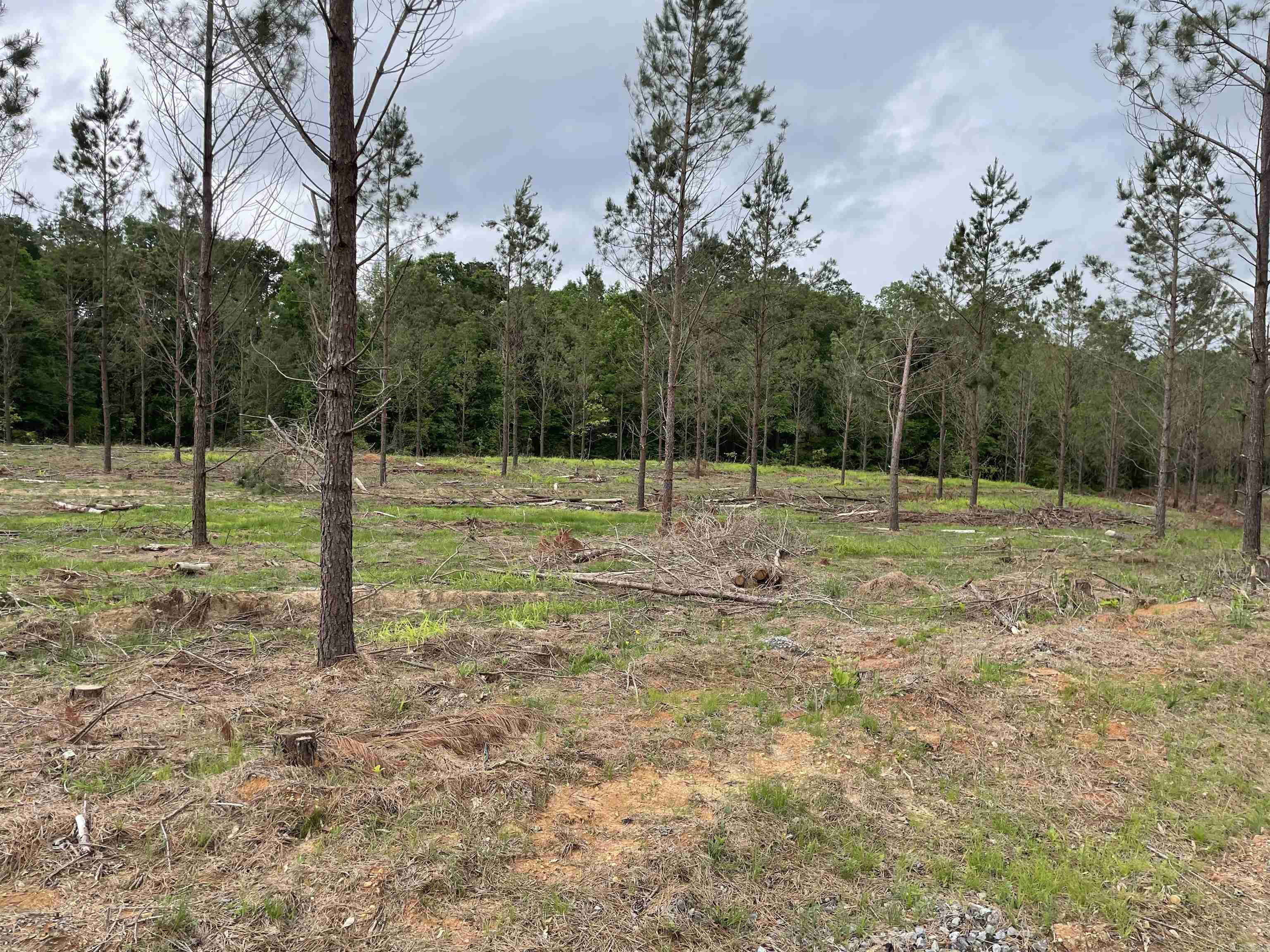 0  Grant 433  Sheridan, AR