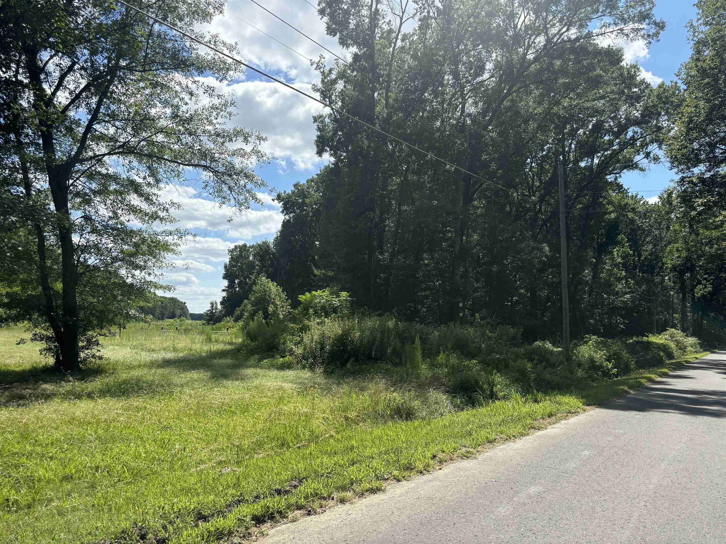1601  Ray Sowell  Austin, AR
