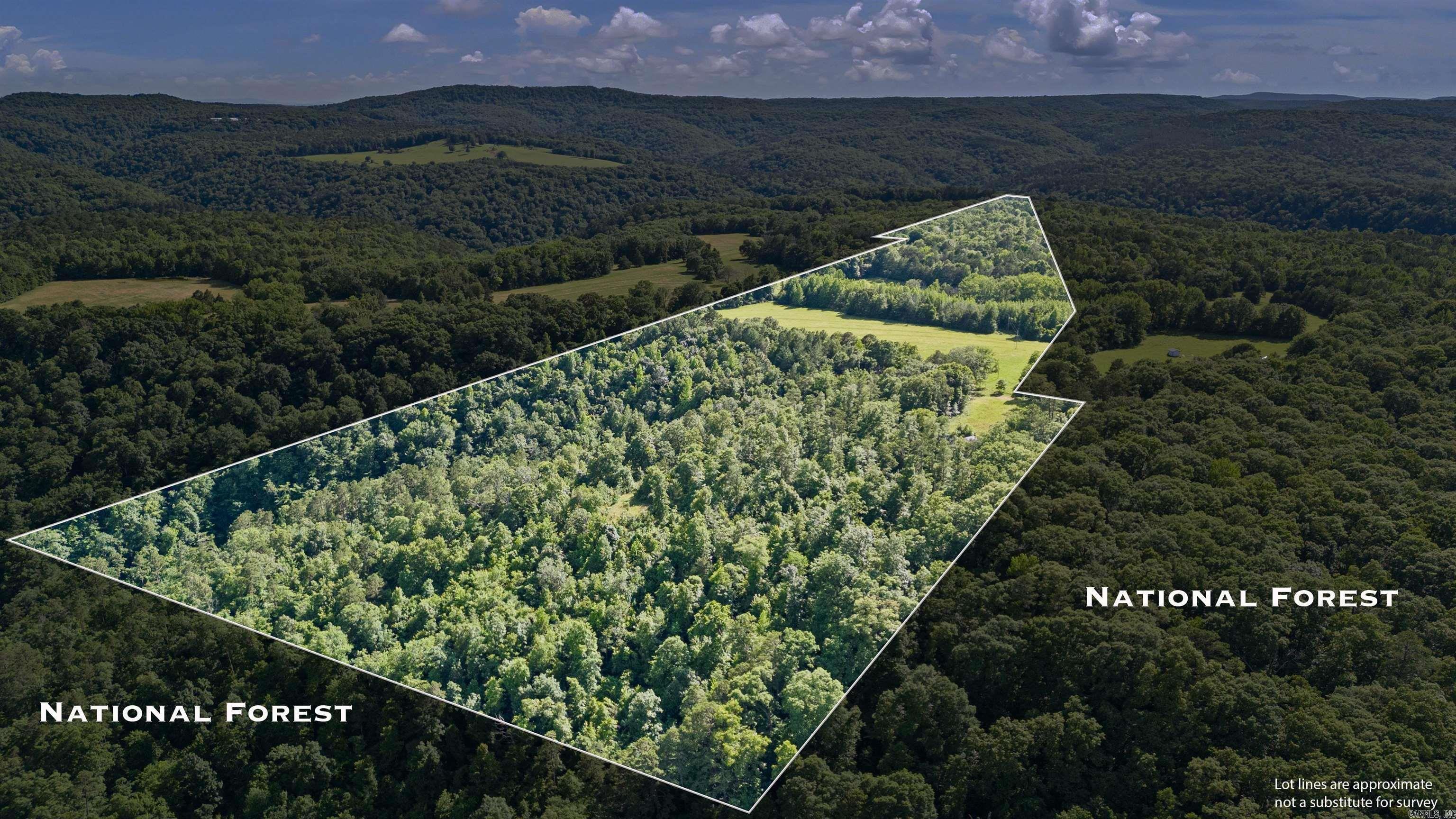 000  Co Rd 4221  Oark, AR