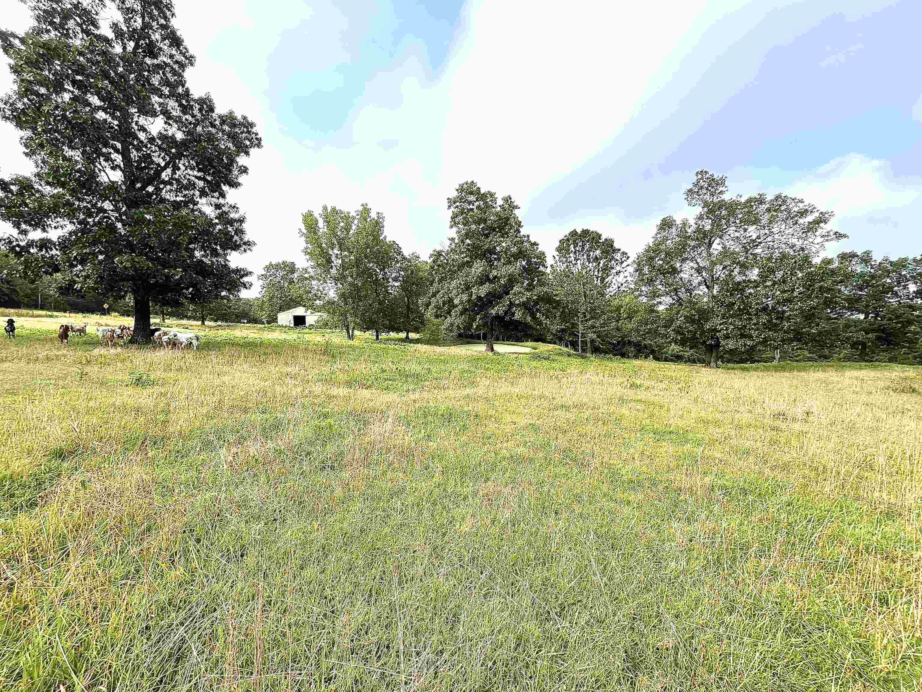 Lots 19-22  Hwy 201 N  Clarkridge, AR