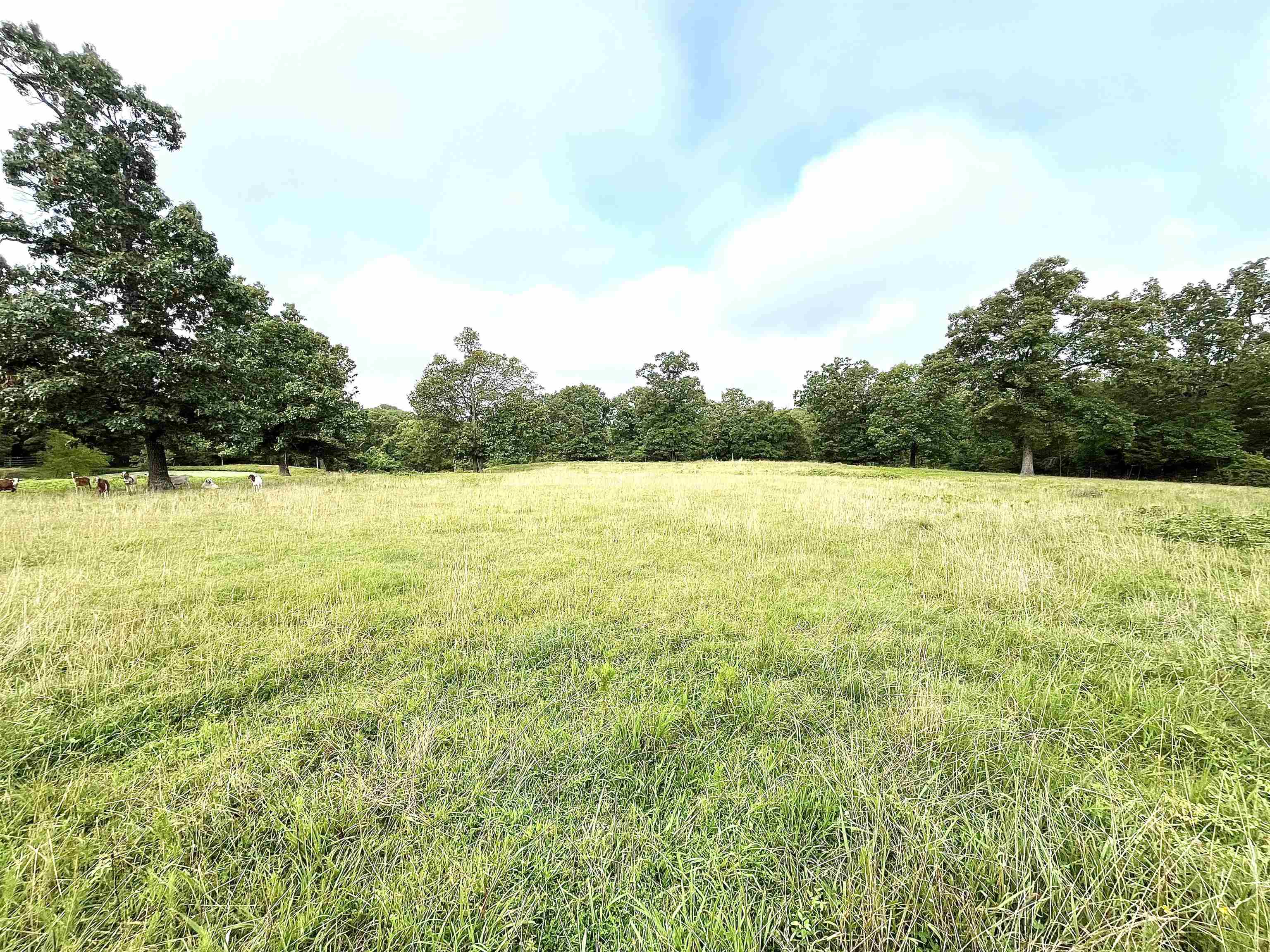 Lots 19-22  Hwy 201 N  Clarkridge, AR