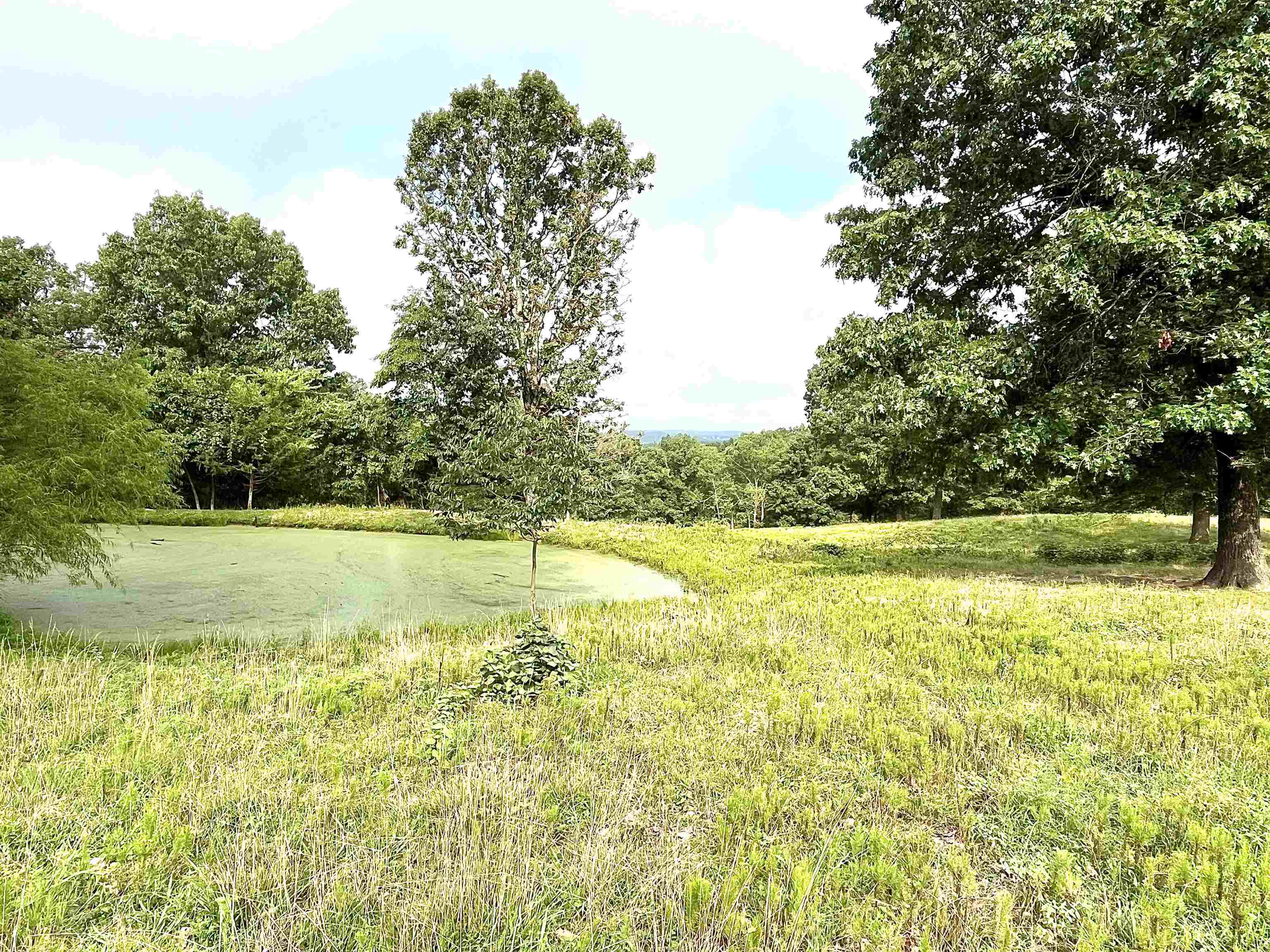 Lots 19-22  Hwy 201 N  Clarkridge, AR