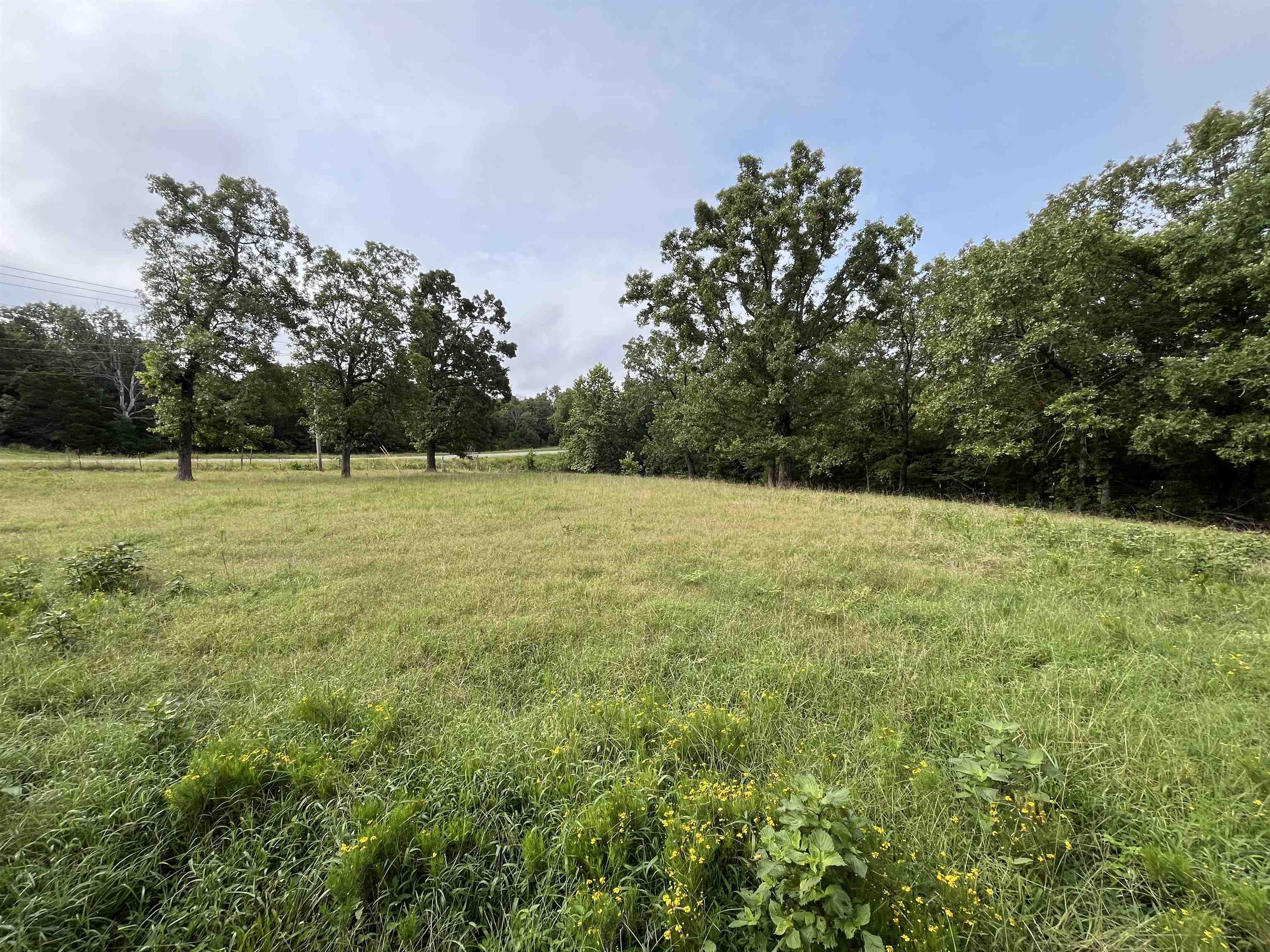 Lots 19-22  Hwy 201 N  Clarkridge, AR