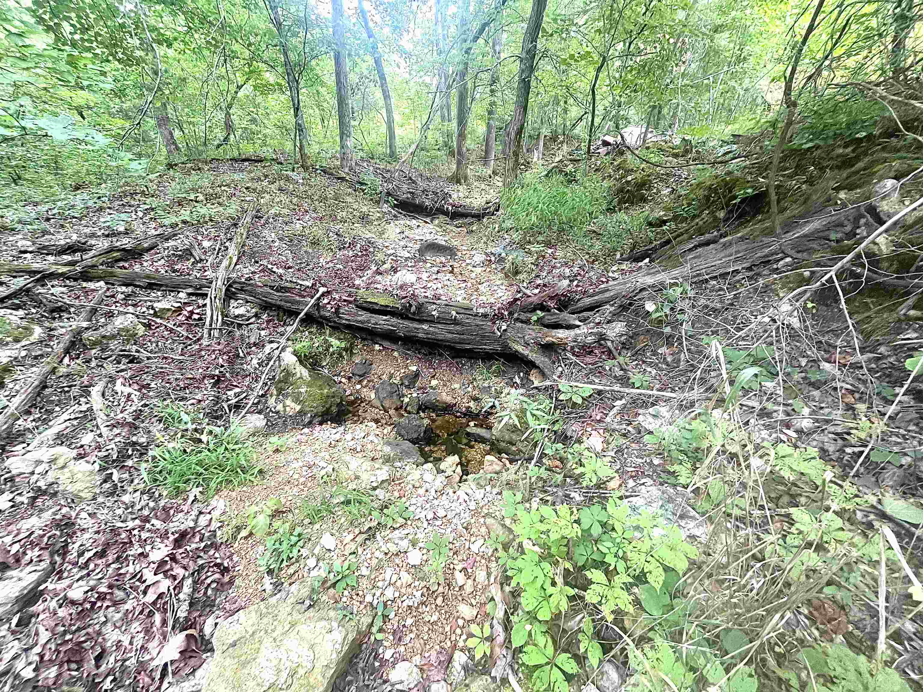 Lots 19-22  Hwy 201 N  Clarkridge, AR