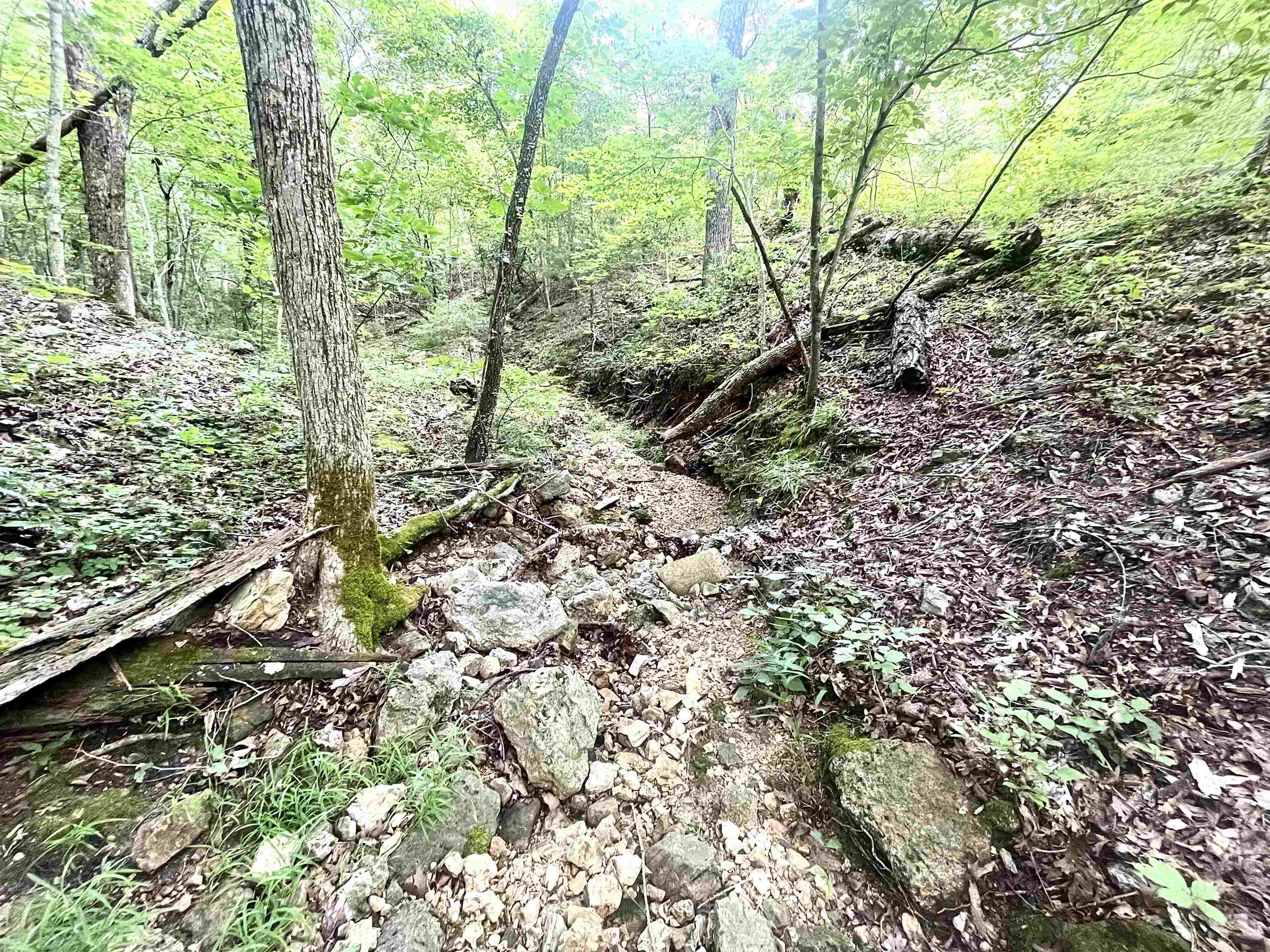 Lots 19-22  Hwy 201 N  Clarkridge, AR