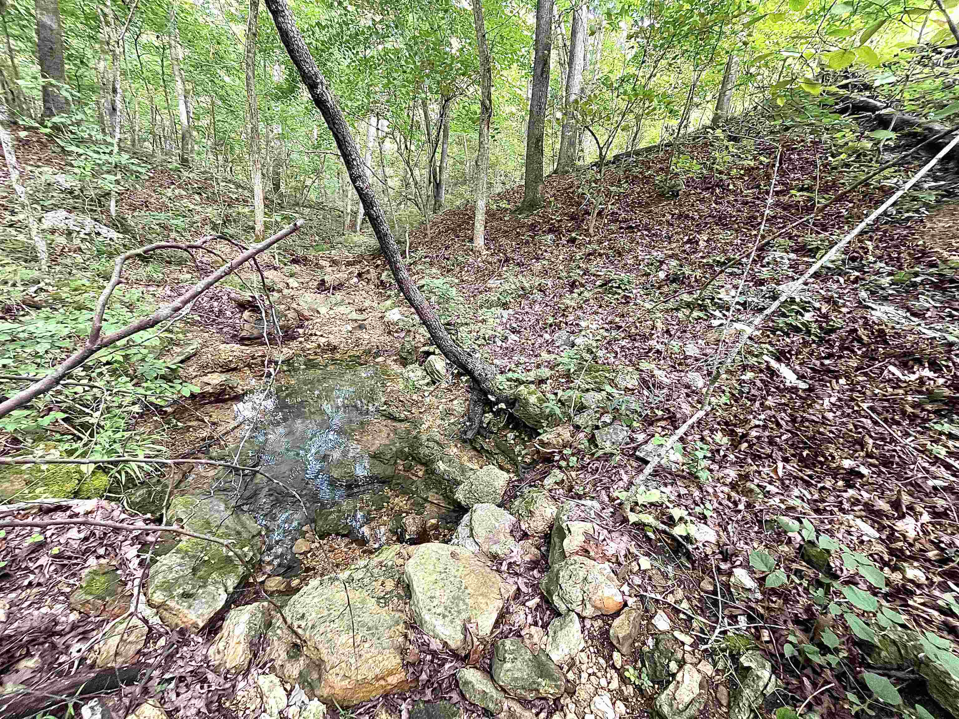 Lots 19-22  Hwy 201 N  Clarkridge, AR