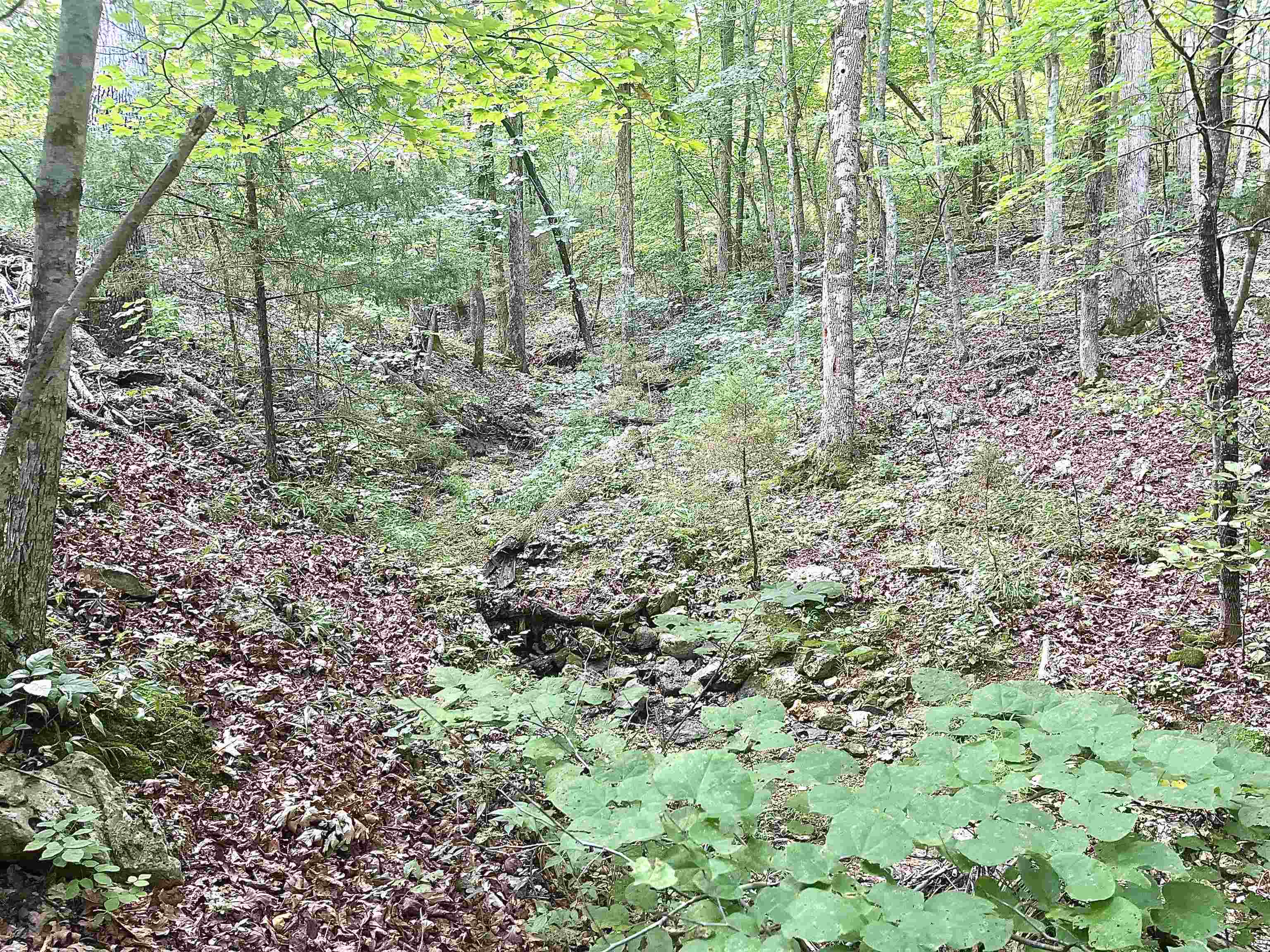 Lots 19-22  Hwy 201 N  Clarkridge, AR