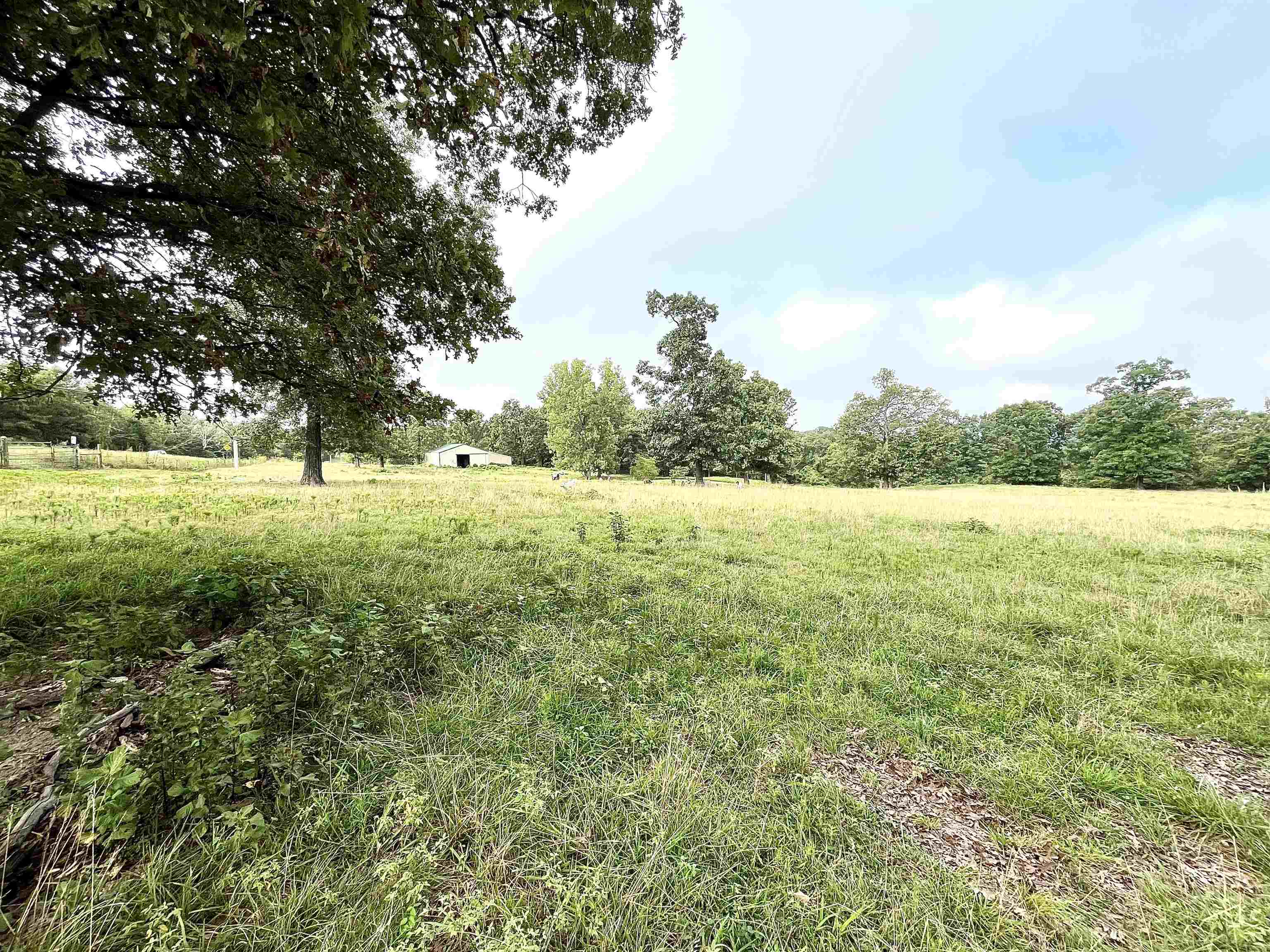 Lots 19-22  Hwy 201 N  Clarkridge, AR