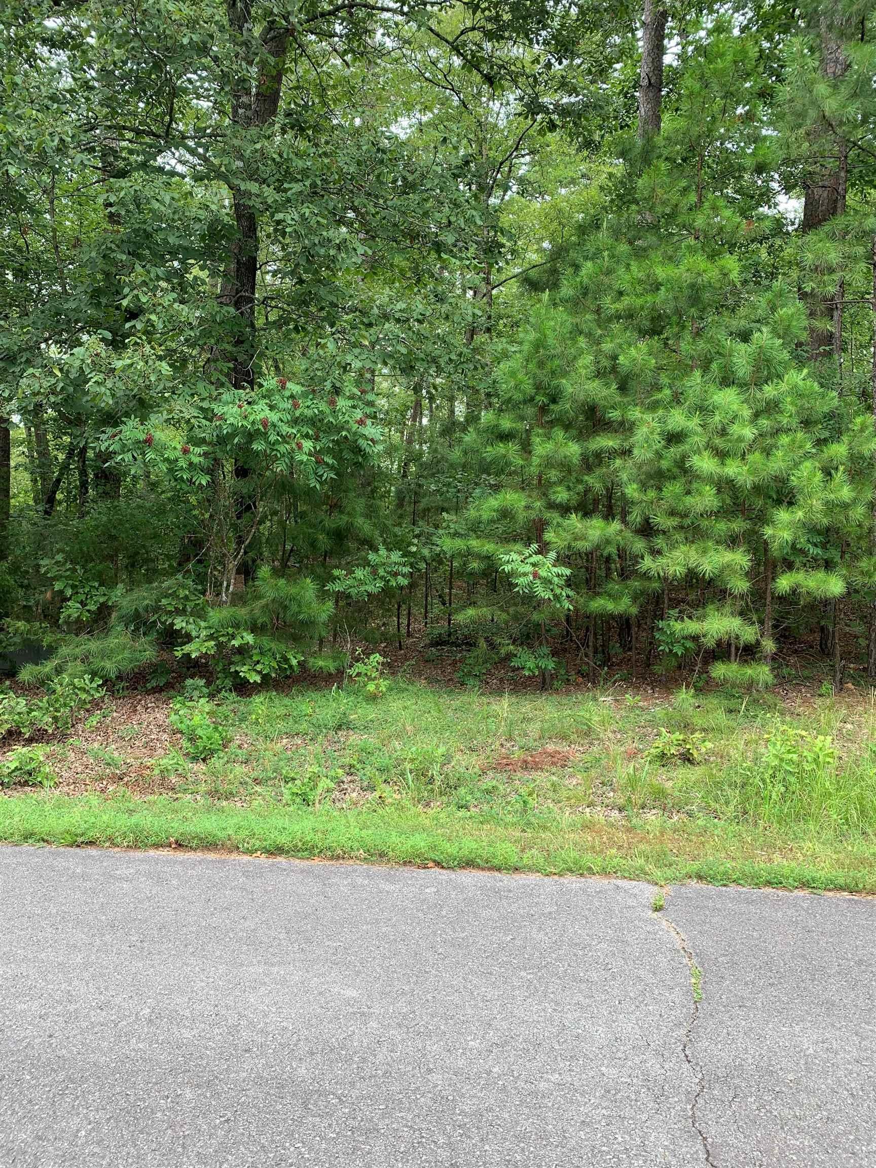 114  Lindura  Hot Springs Village, AR