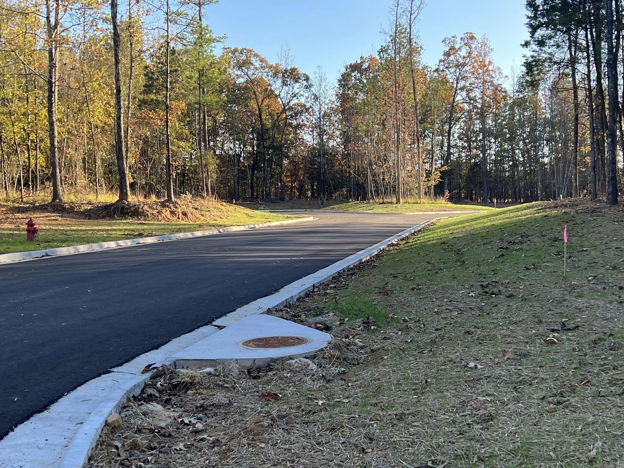 102  SHAGBARK TRAIL  Maumelle, AR