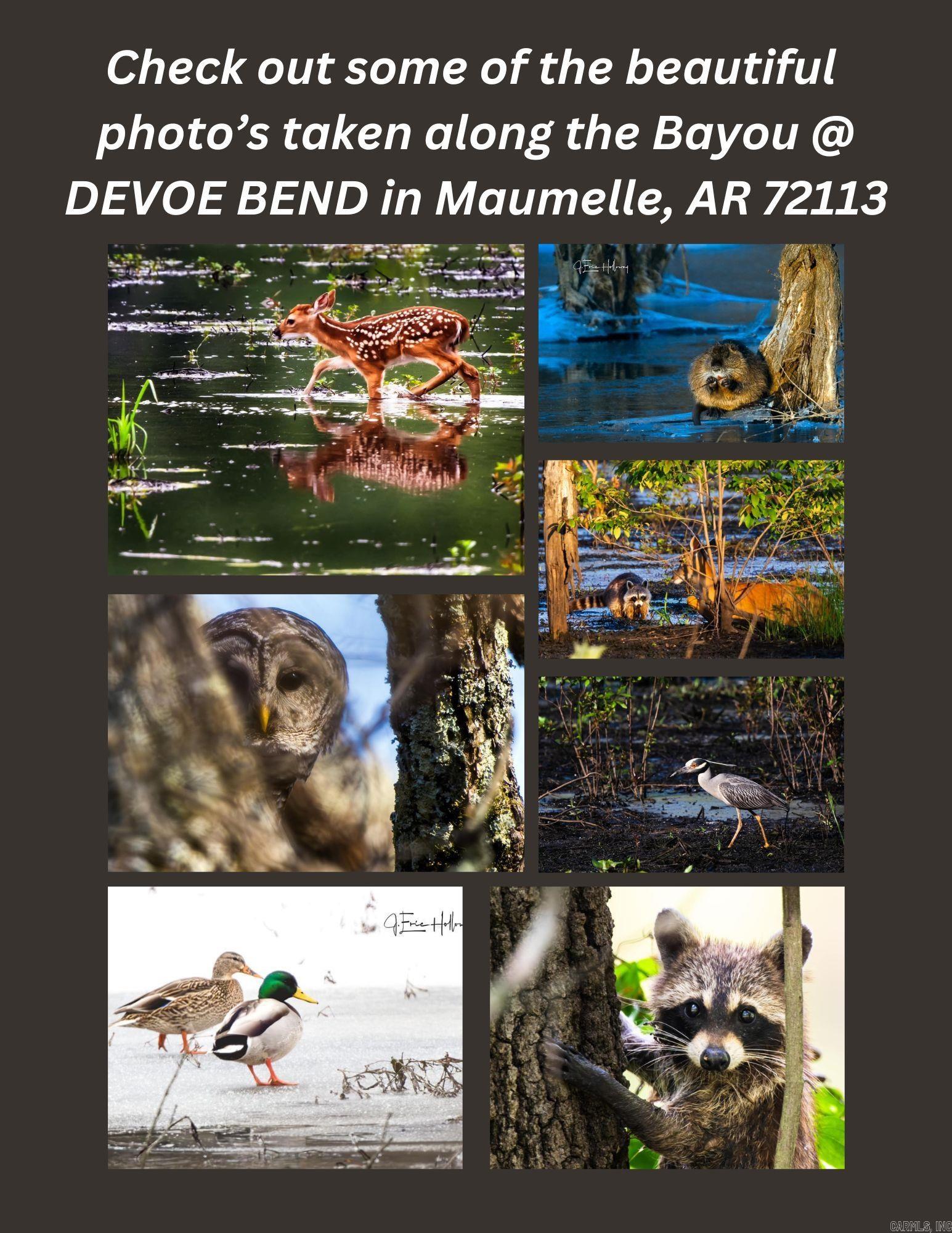 320  DEVOE BEND DRIVE  Maumelle, AR