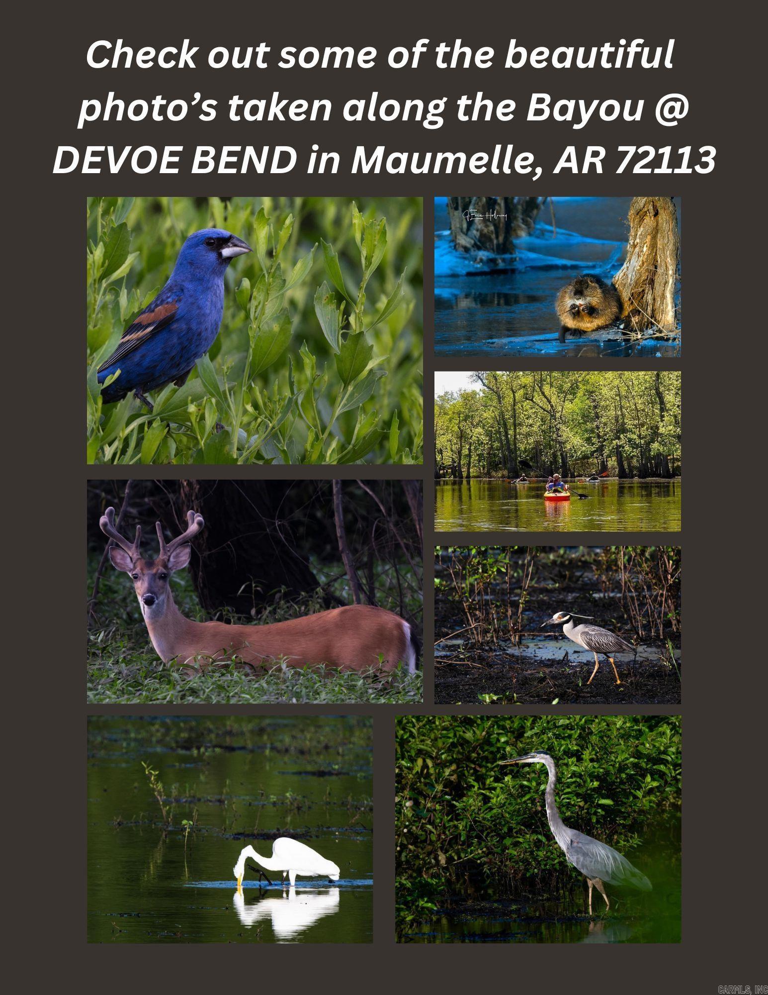 320  DEVOE BEND DRIVE  Maumelle, AR