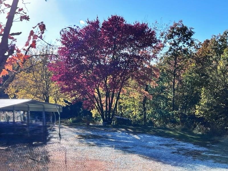 21119 N Hwy 5  Mountain View, AR
